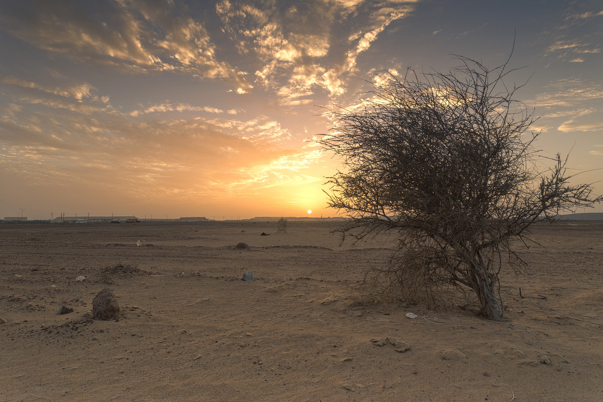 Sigma 20mm F1.4 DG HSM Art sample photo. Sahara evening photography