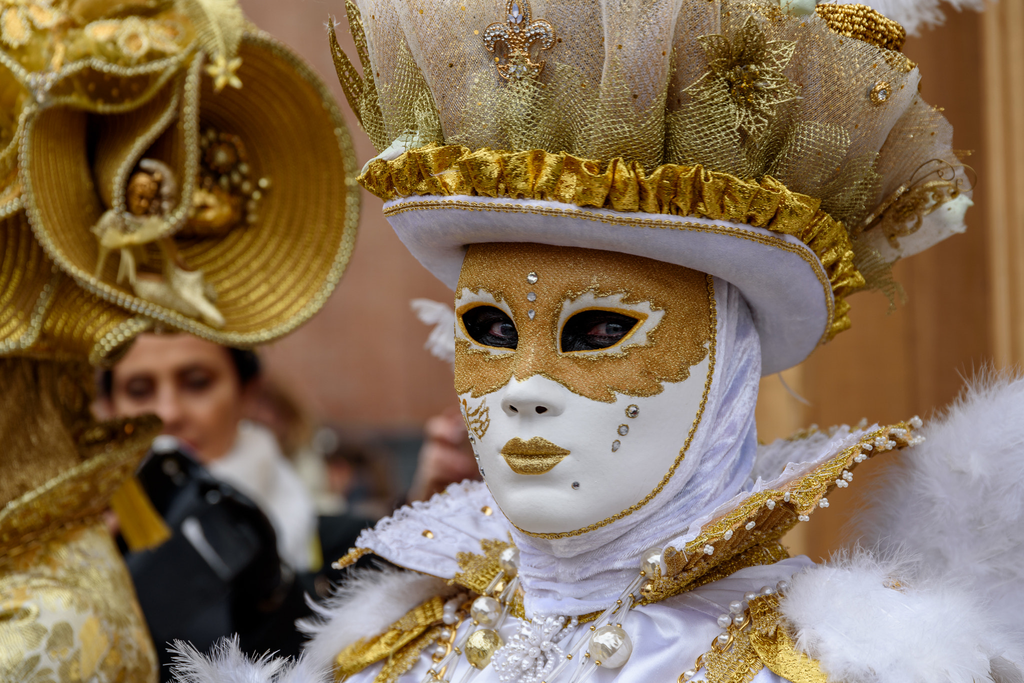 Nikon D750 + Sigma 24-105mm F4 DG OS HSM Art sample photo. Carnaval de venise photography