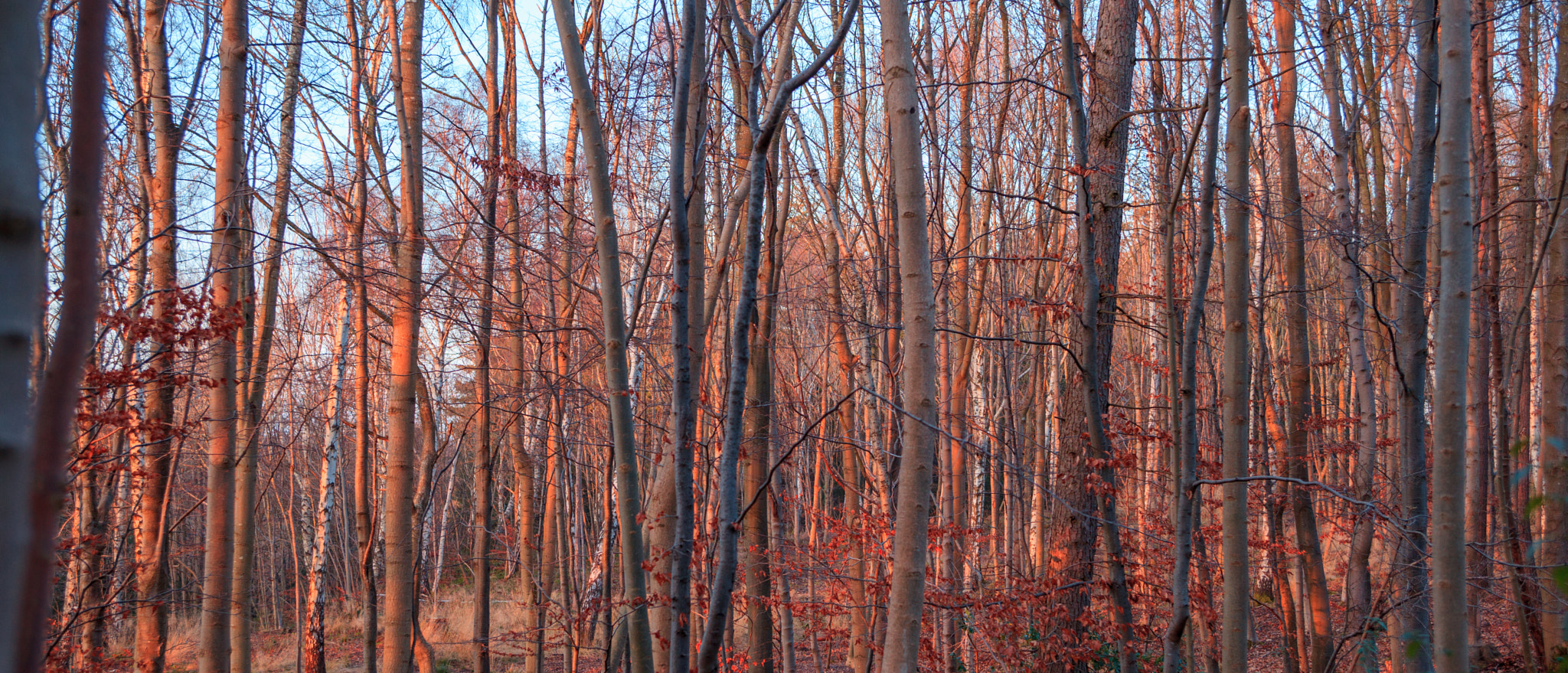 EF28-70mm f/2.8L USM sample photo. Crisp photography