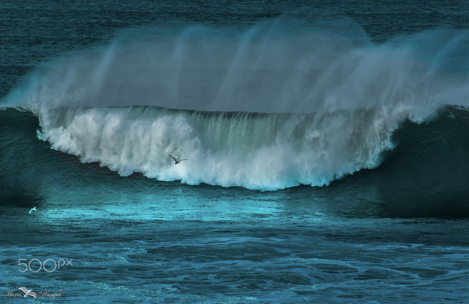 Canon EF 75-300mm f/4-5.6 USM sample photo. The wave ii photography