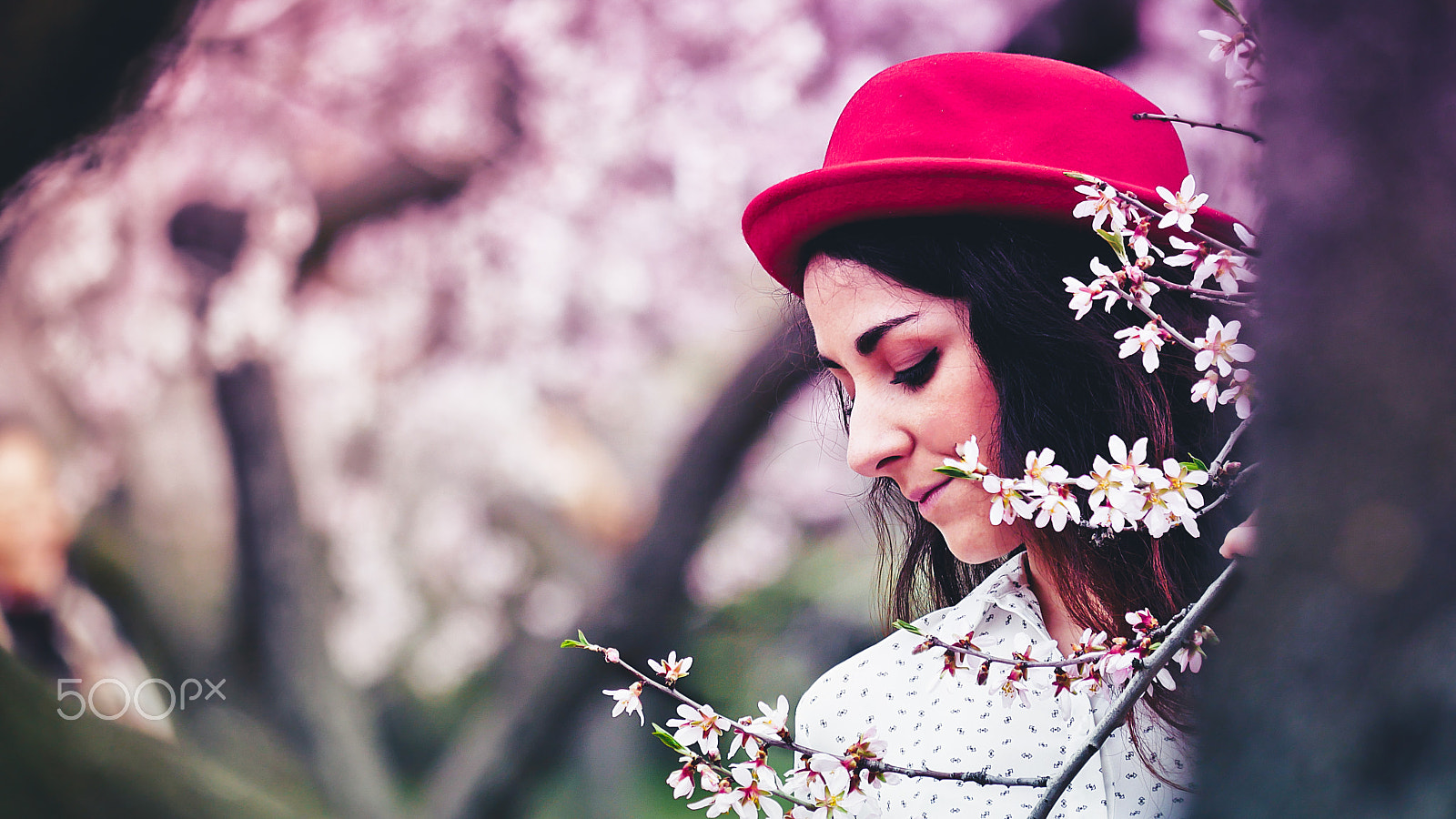 Panasonic Lumix DMC-GH4 sample photo. Sesion con almendros en flor photography