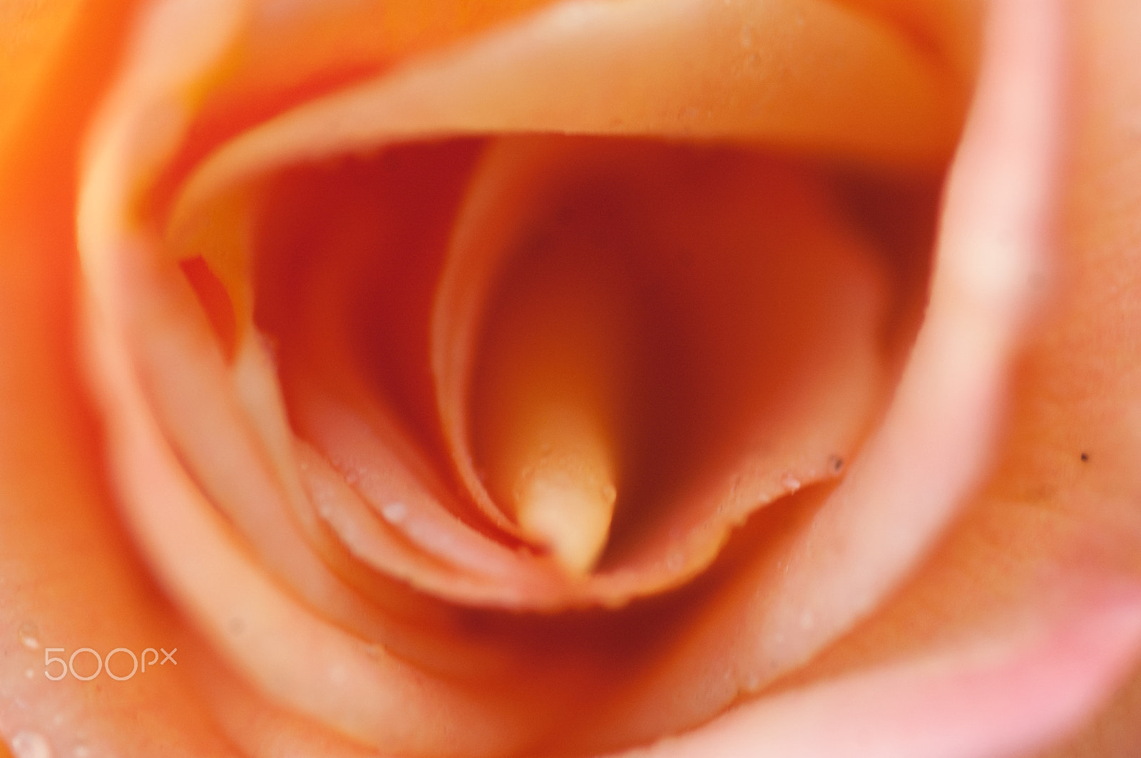 Nikon D70 sample photo. Composition photography