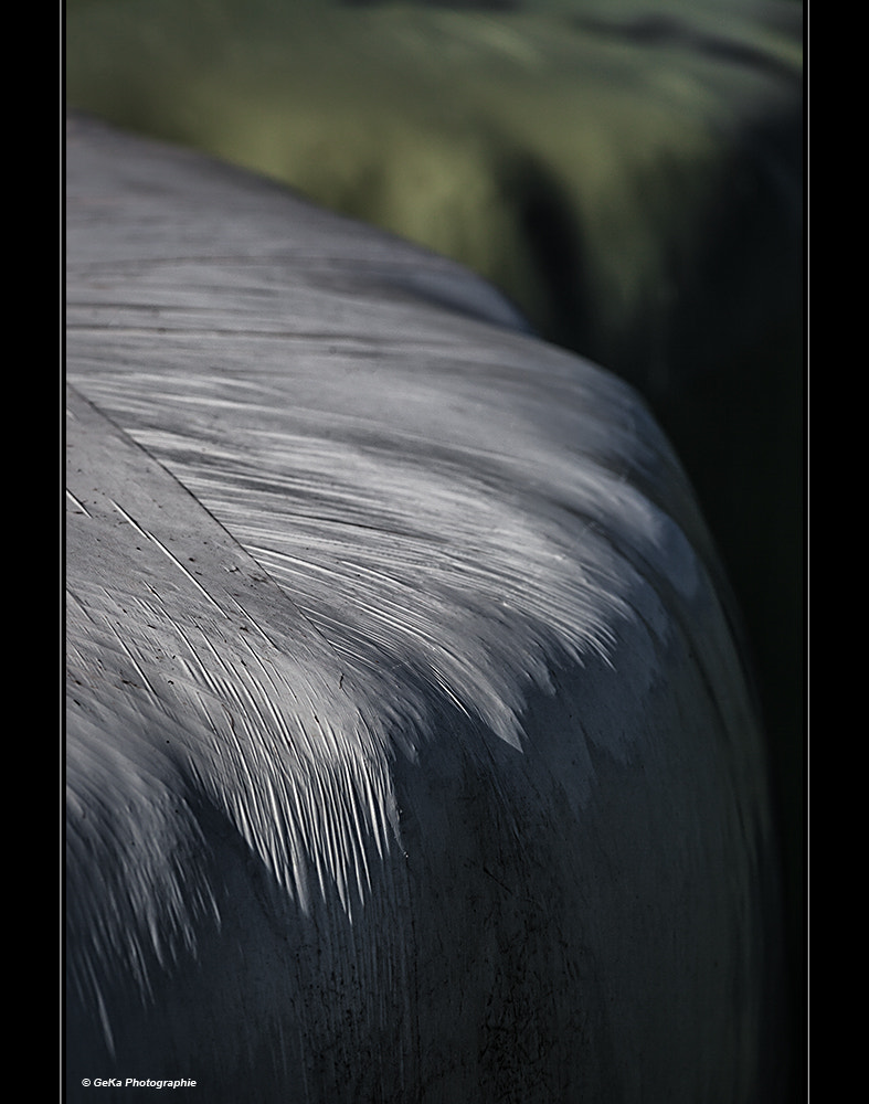 Sigma 105mm F2.8 EX DG Macro sample photo. Verpackt photography