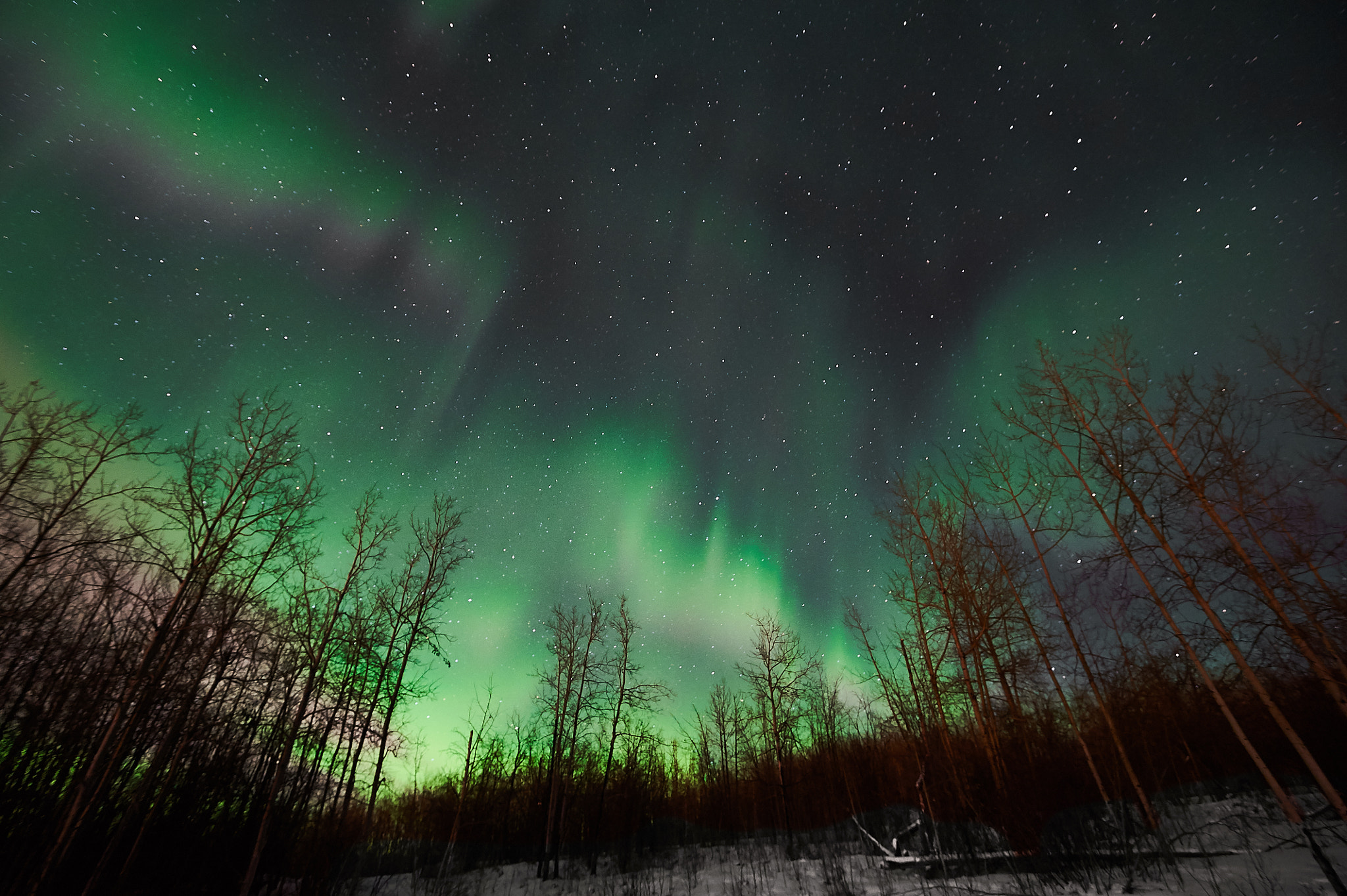 Nikon AF-S Nikkor 16-35mm F4G ED VR sample photo. Aurora march 3 2017 photography