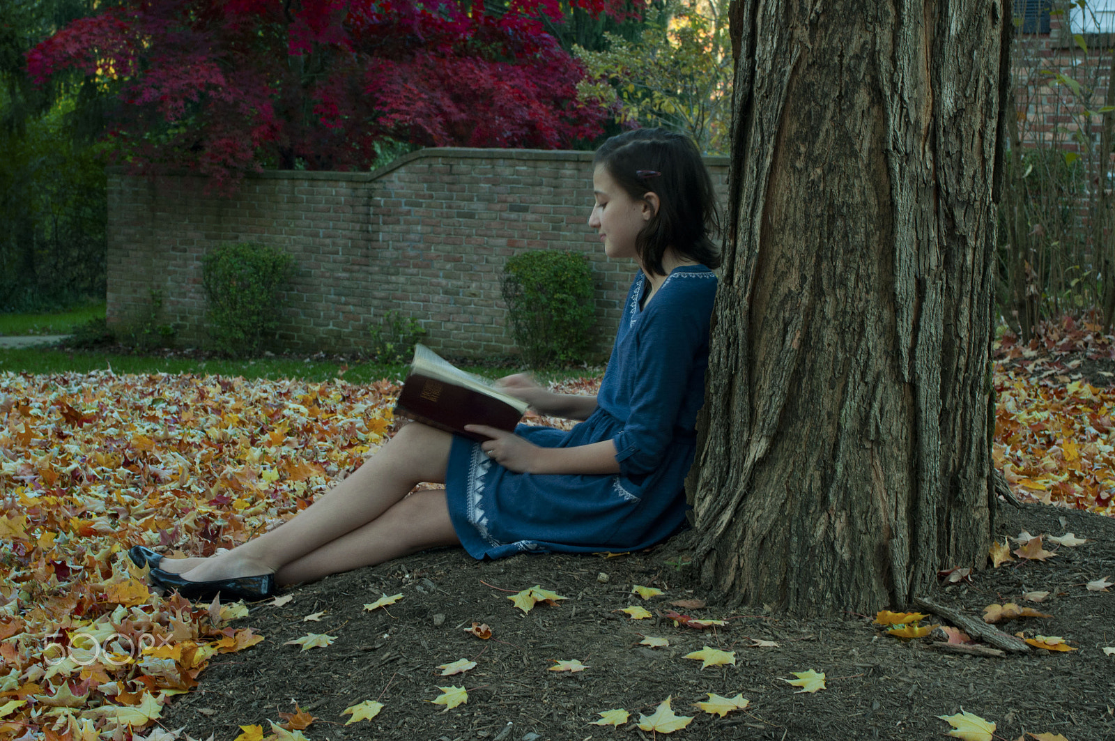 Nikon D90 + AF Zoom-Nikkor 35-70mm f/2.8 sample photo. Girl reads bible under tree photography