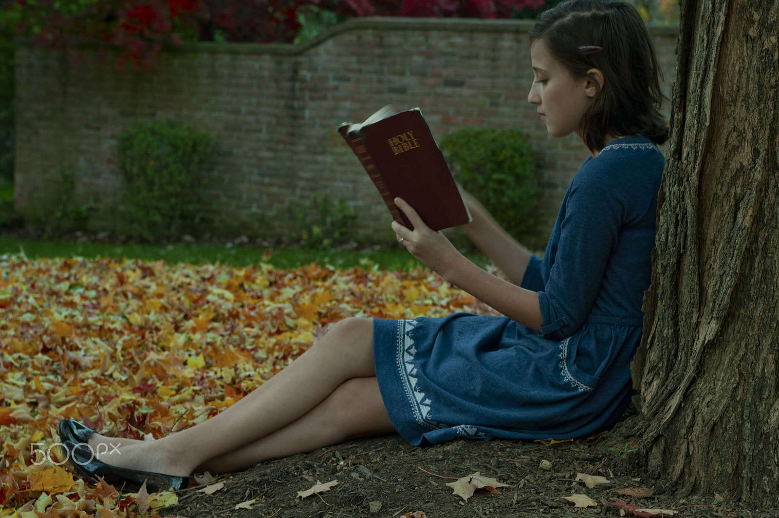 Nikon D90 + AF Zoom-Nikkor 35-70mm f/2.8 sample photo. Girl reads bible under tree photography