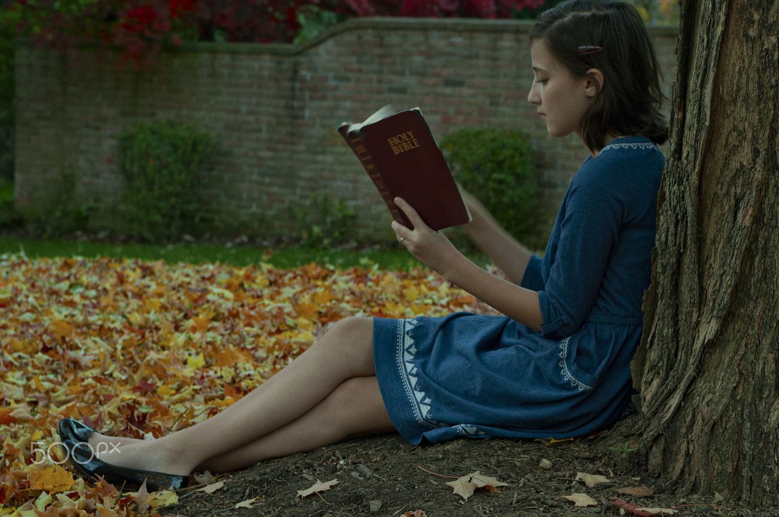 AF Zoom-Nikkor 35-70mm f/2.8 sample photo. Girl reads bible under tree photography