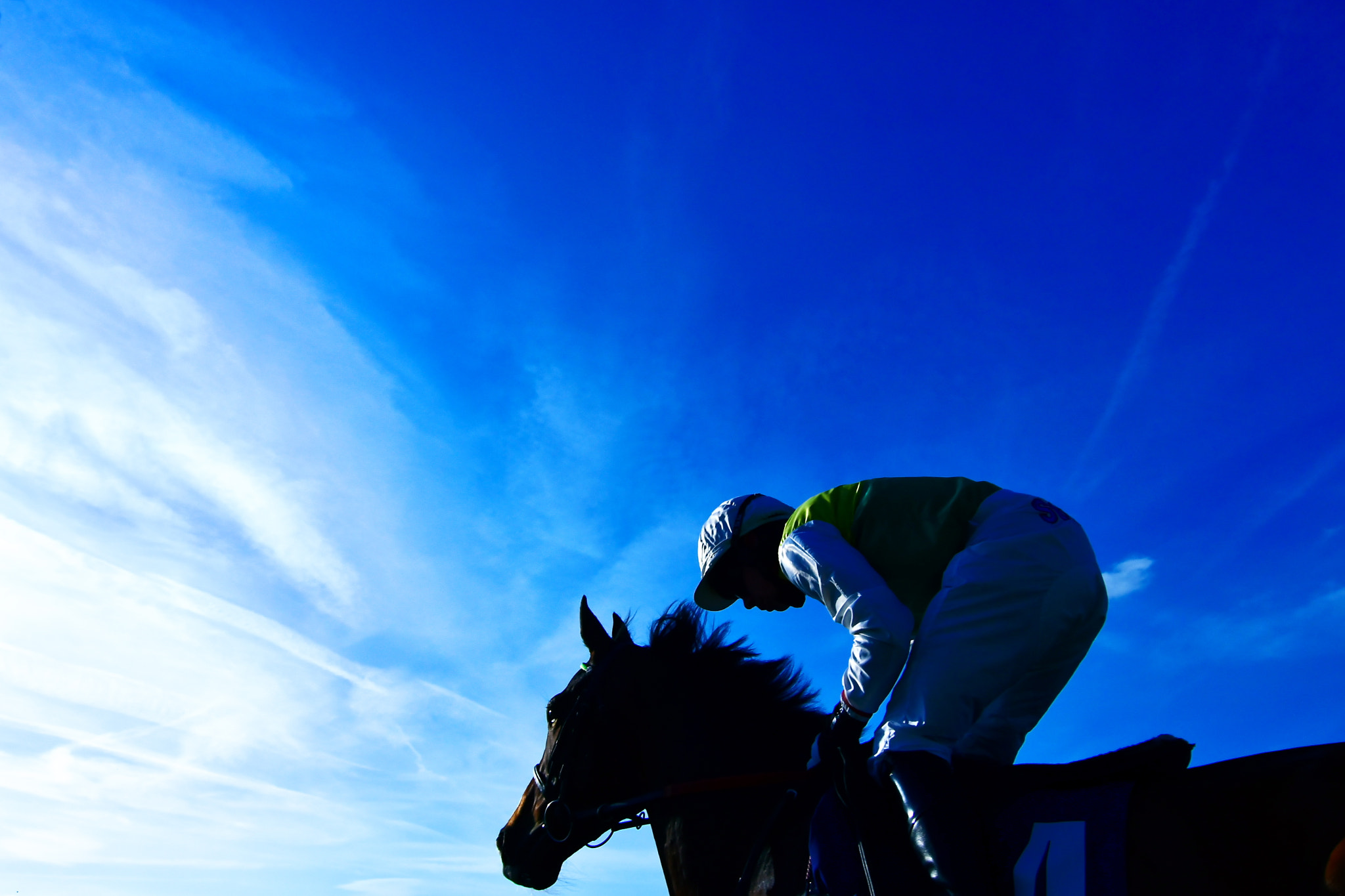 Nikon D500 sample photo. Great sky photography