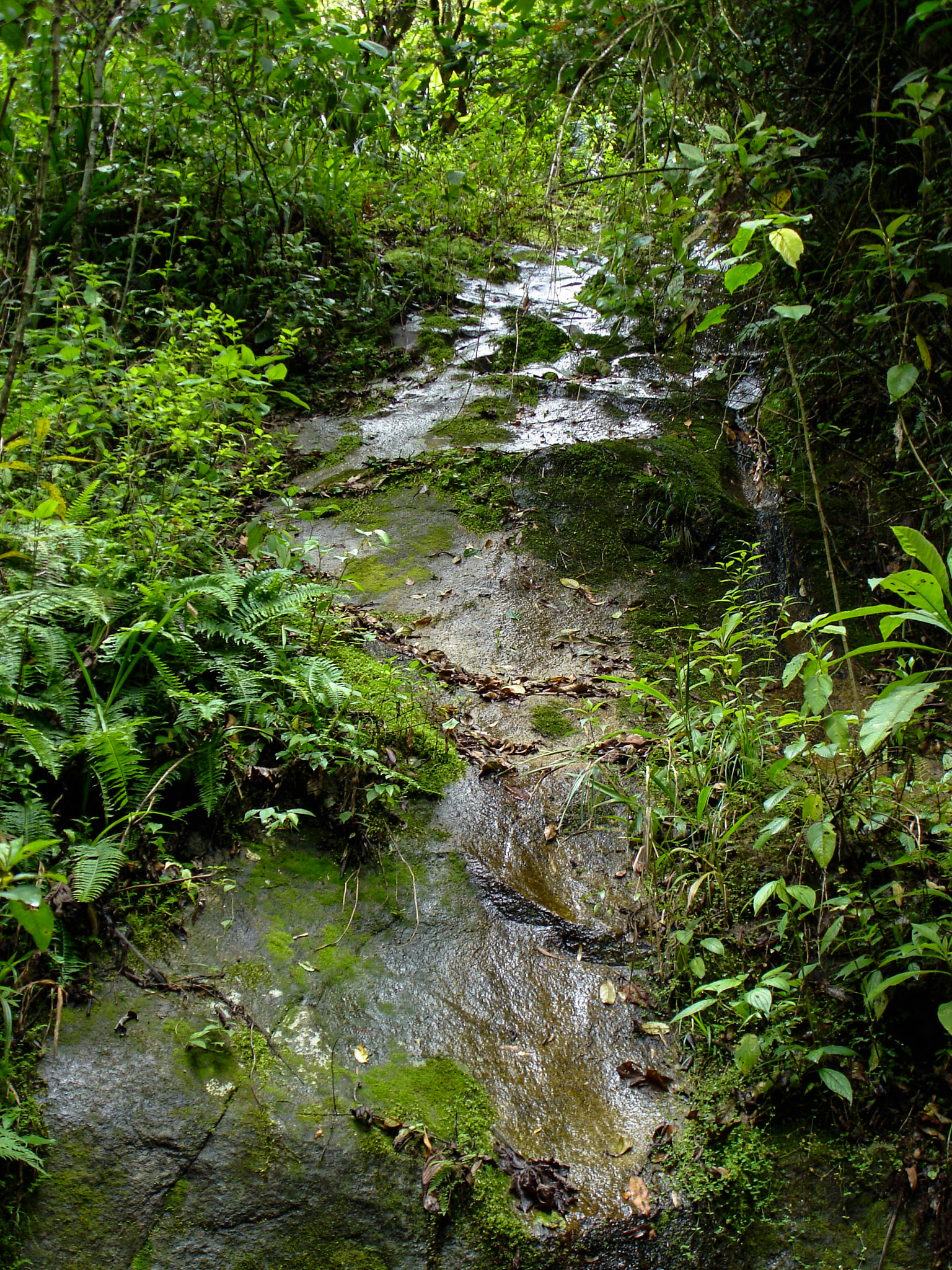 Sony DSC-W7 sample photo. River close to machu pichu, peru photography