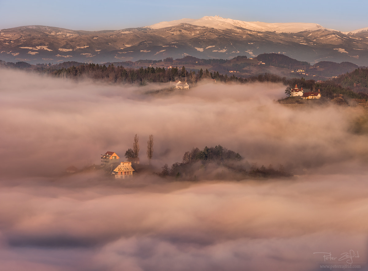 Nikon D810 sample photo. Morning fog photography
