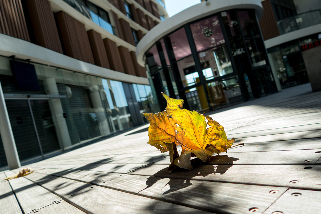 Florentine by Alexei Aven on 500px.com