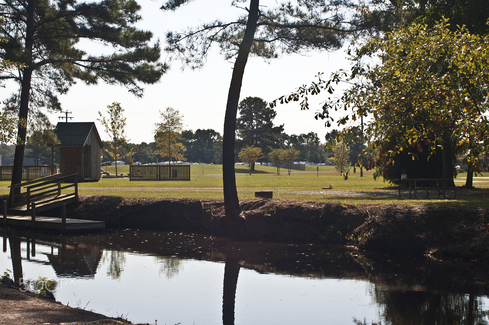 Nikon D90 + AF Zoom-Nikkor 35-70mm f/2.8 sample photo. Green pond and field on a camp ground photography