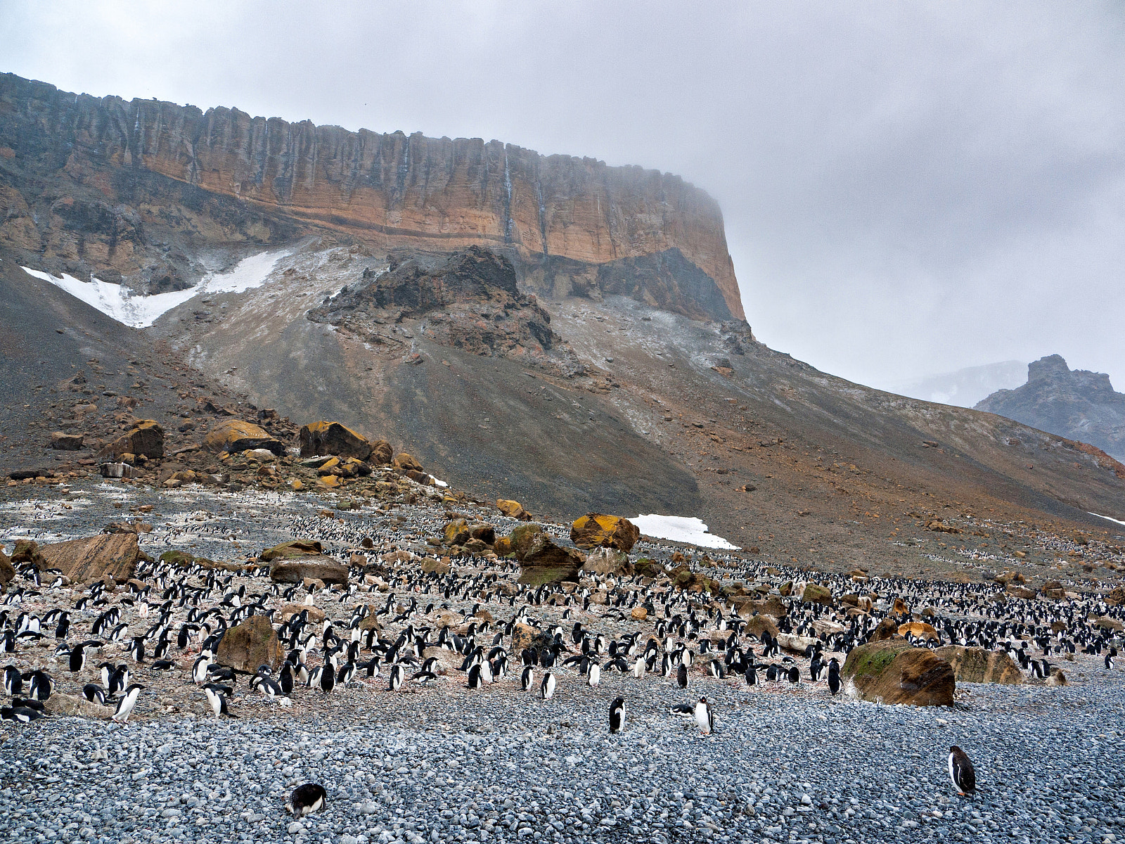 Panasonic Lumix DMC-GF1 sample photo. The penguin congress #4 photography