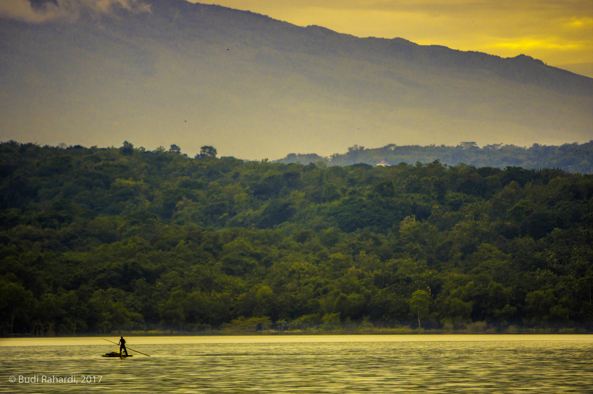 Sony a6000 + Sony DT 50mm F1.8 SAM sample photo. Yellow sun shine photography