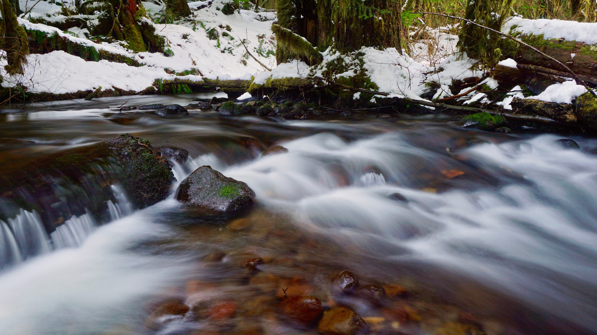 Sony E 10-18mm F4 OSS sample photo. Camp creek, oregon cascades. photography