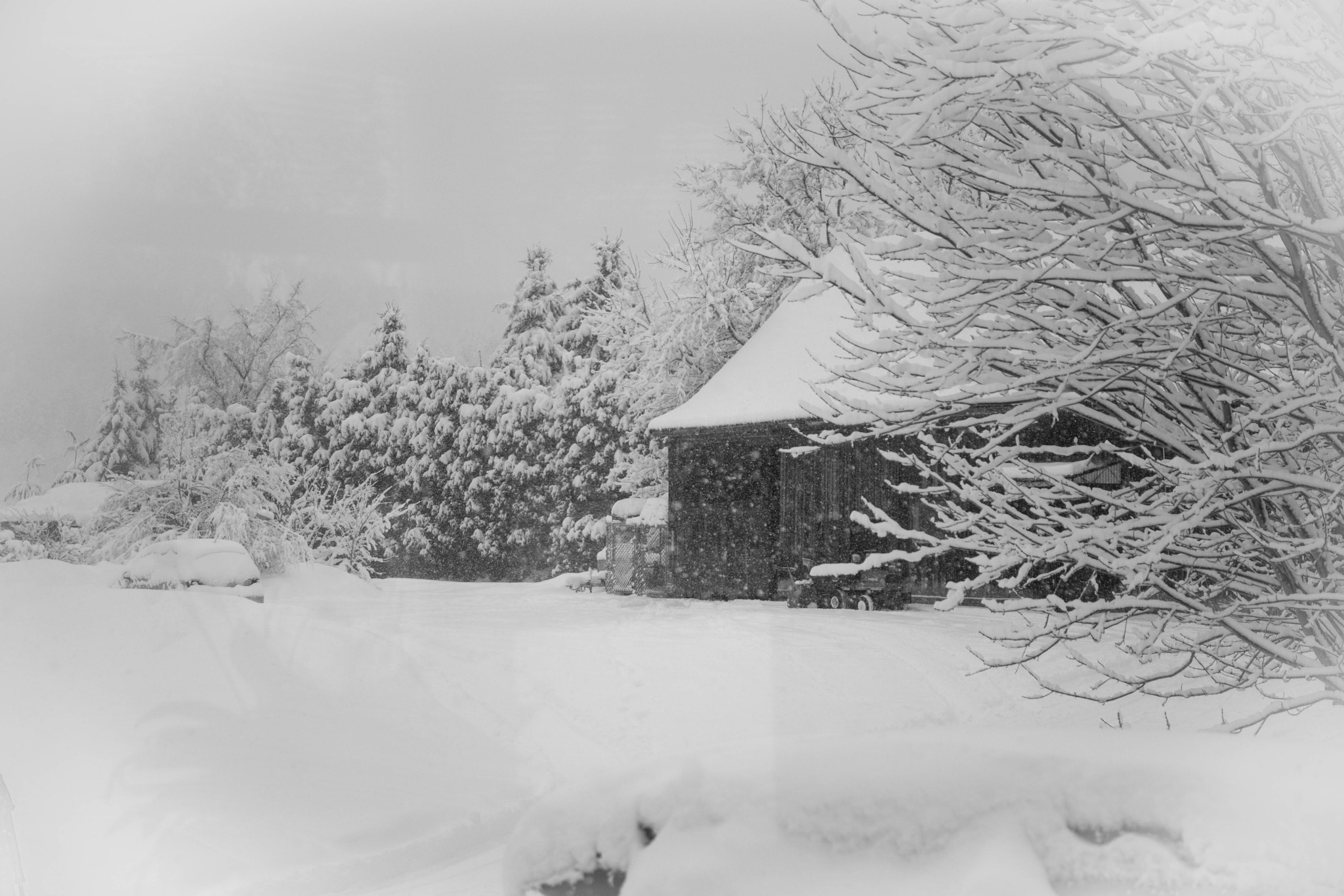 Nikon D5500 sample photo. Snow photography