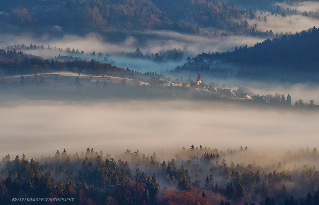 Olympus OM-D E-M1 + OLYMPUS M.75-300mm F4.8-6.7 sample photo. Foggy morning ii. photography