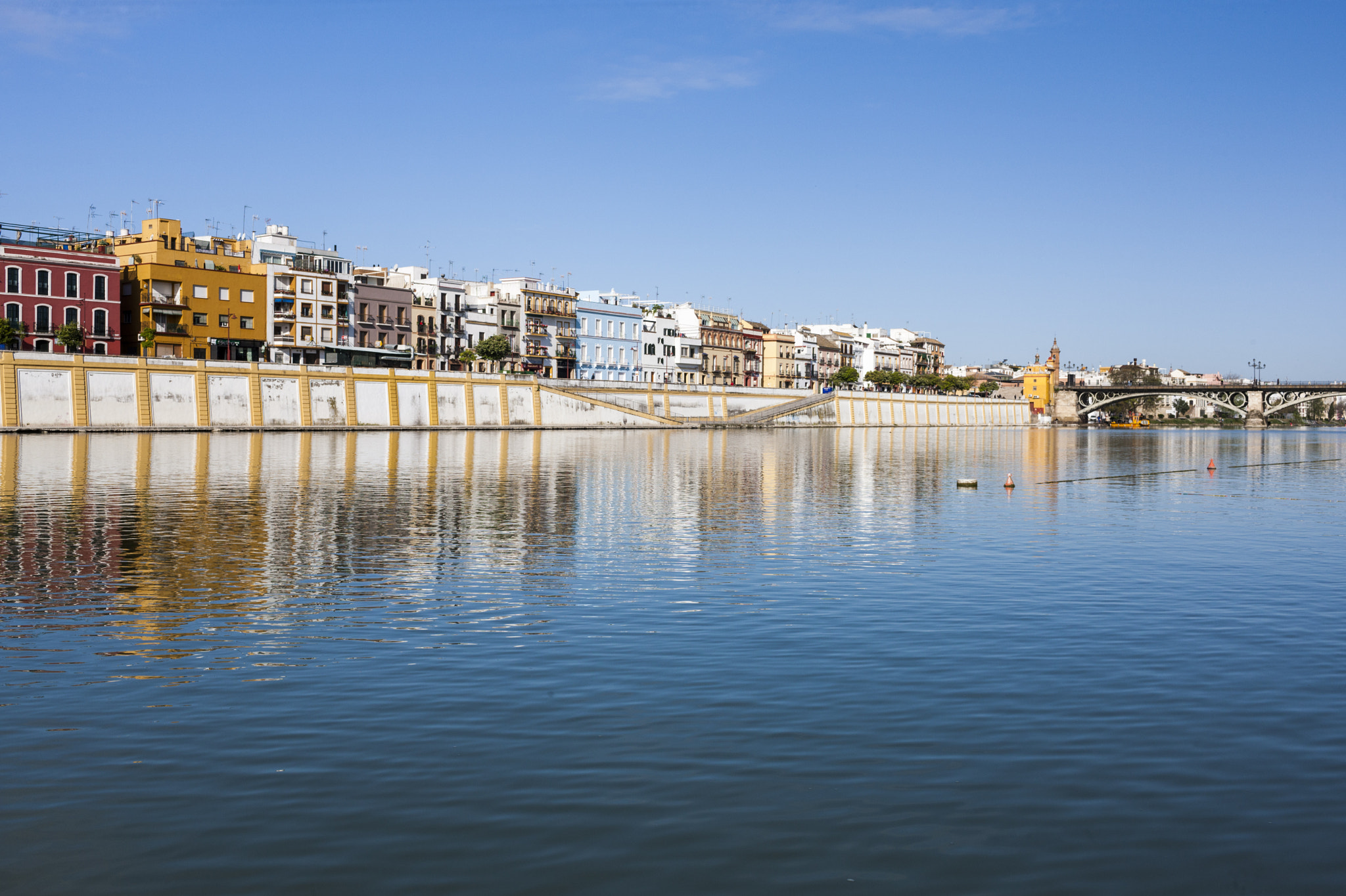 Canon EF 35mm F1.4L USM sample photo. Betis treet by the guadalquivir river, seville, spain photography