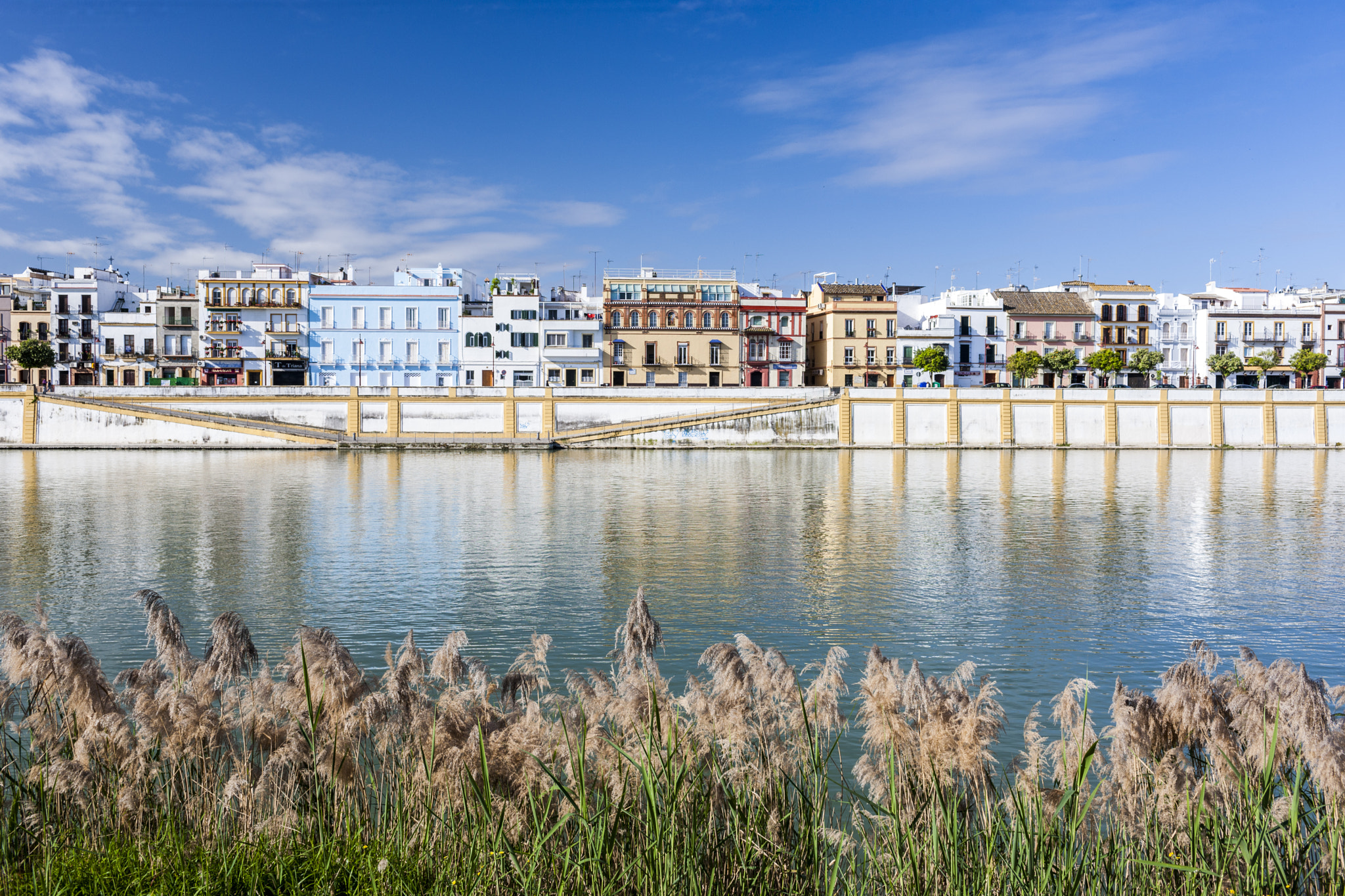 Canon EF 35mm F1.4L USM sample photo. Betis treet by the guadalquivir river, seville, spain photography