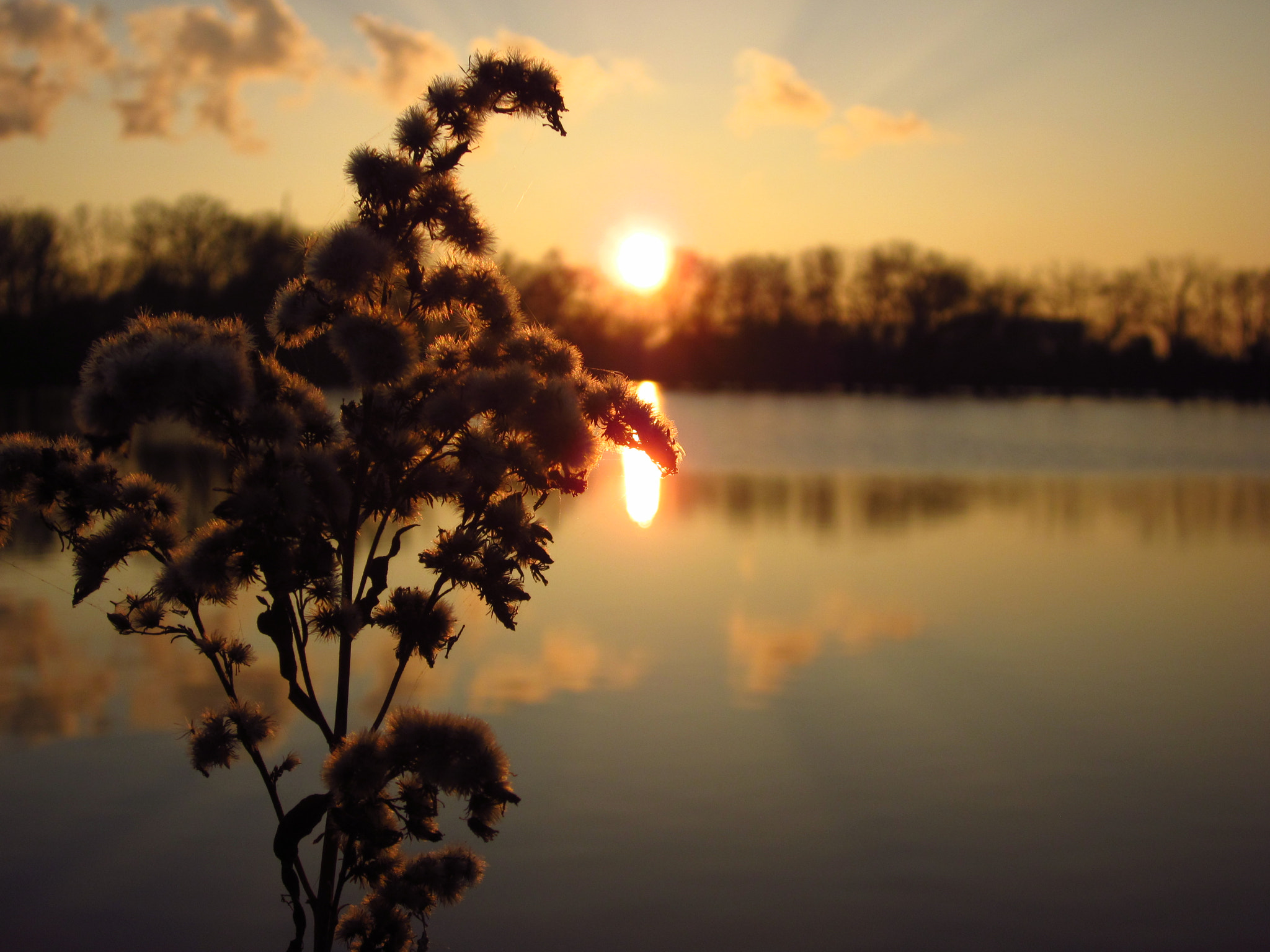 Canon PowerShot A1200 sample photo. Wolligersonnenuntergang photography