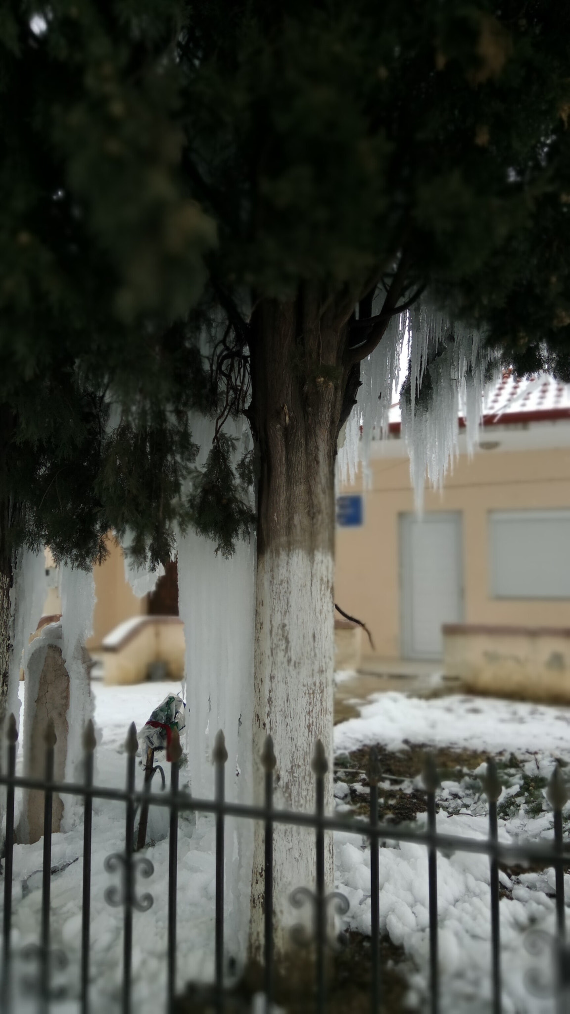 Xiaomi Redmi Pro sample photo. Blizzard aftermath 2 photography