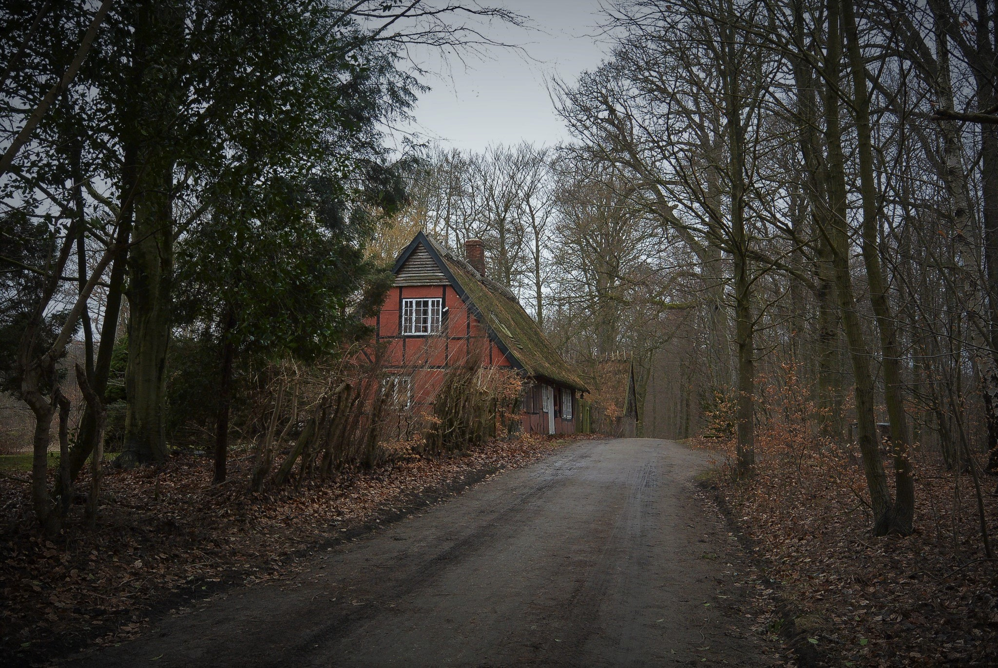 Nikon 1 Nikkor 11-27.5mm F3.5-5.6 sample photo. House on the hill... photography