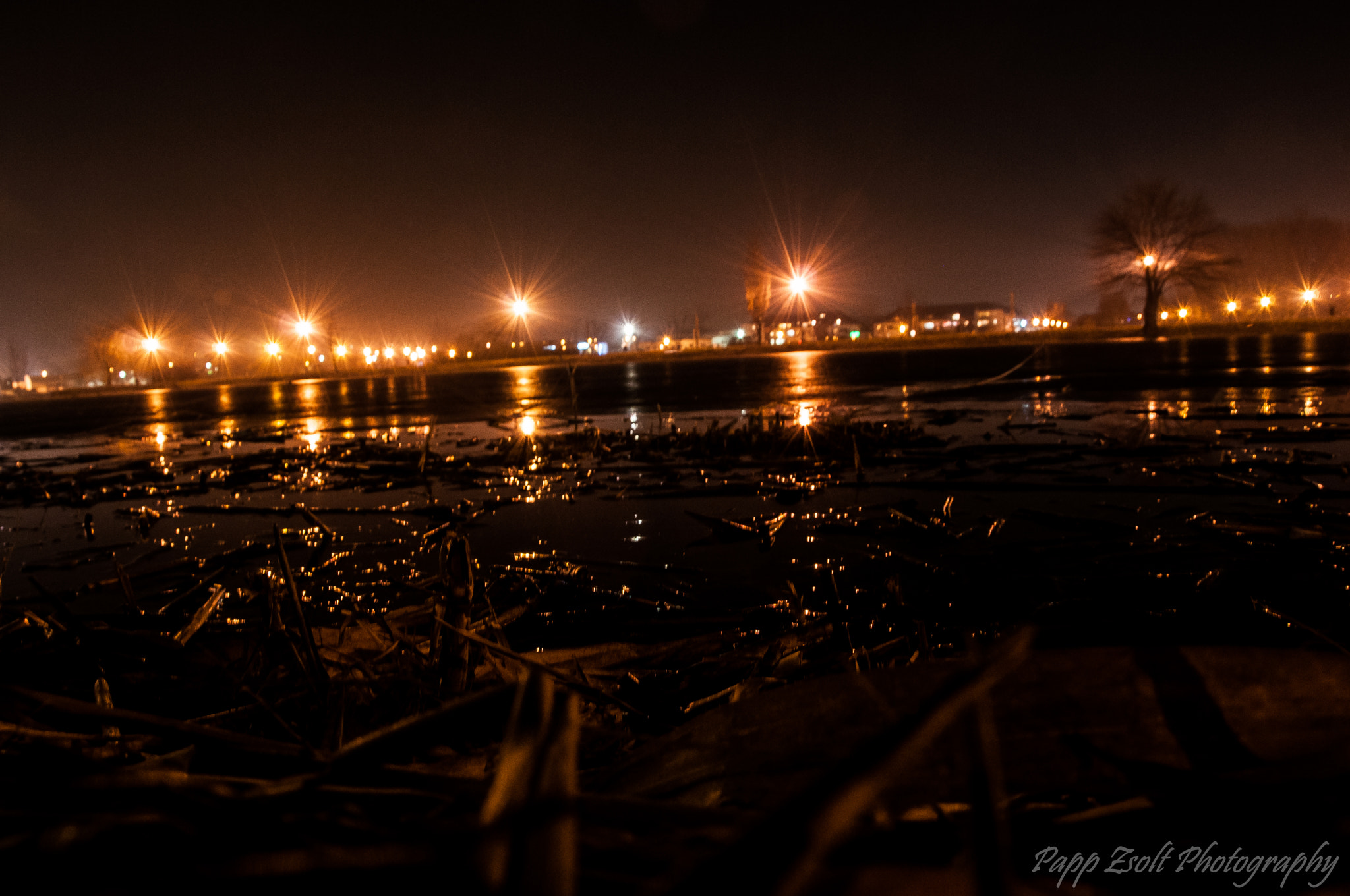 Nikon D300 sample photo. In the nightlights! photography