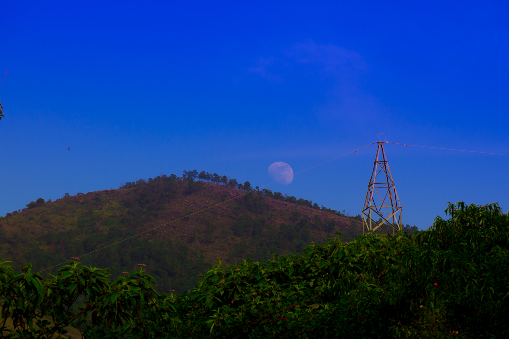 Sony DT 18-135mm F3.5-5.6 SAM sample photo. Gudalur photography