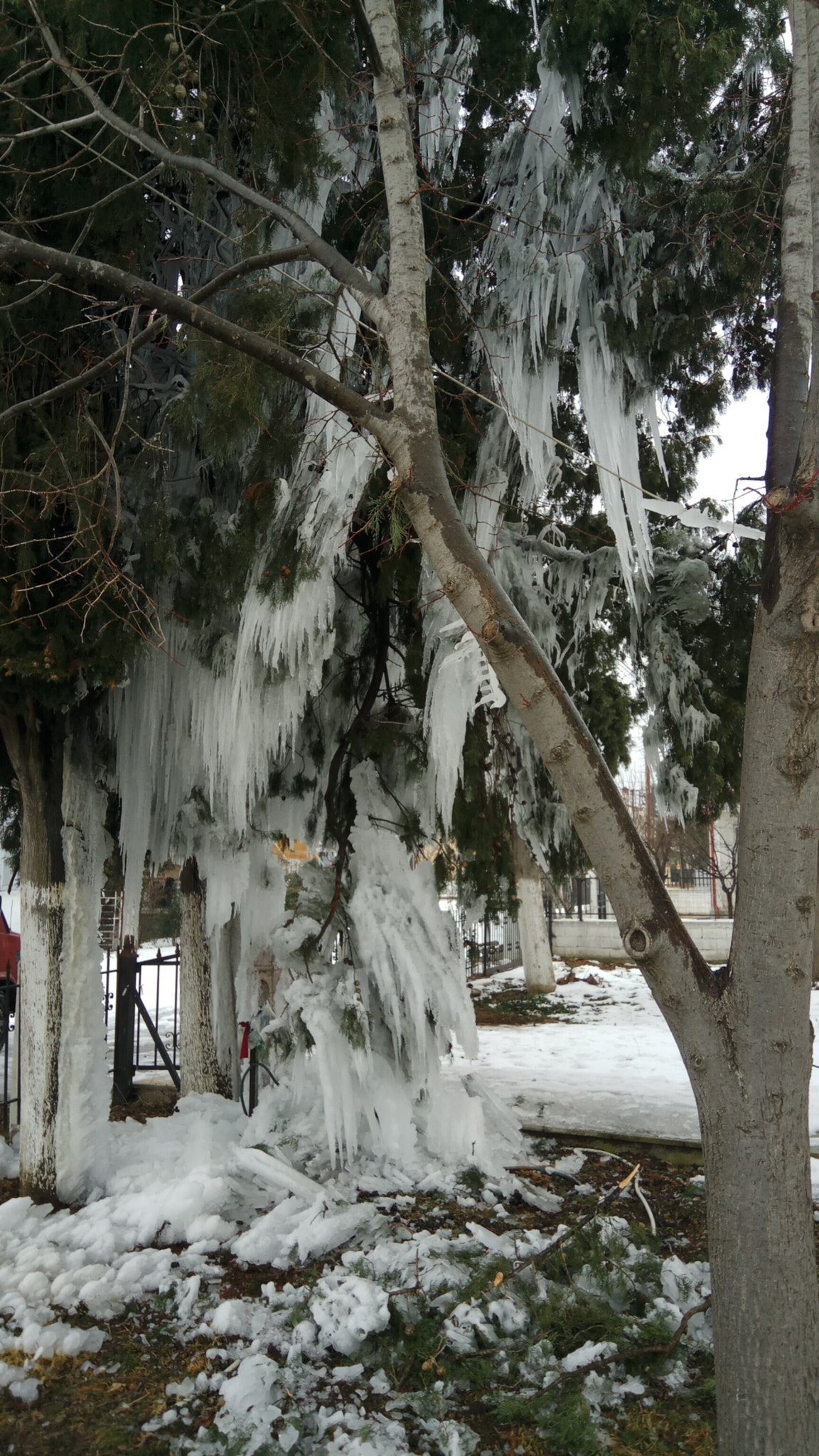 Xiaomi Redmi Pro sample photo. Blizzard aftermath 3 photography