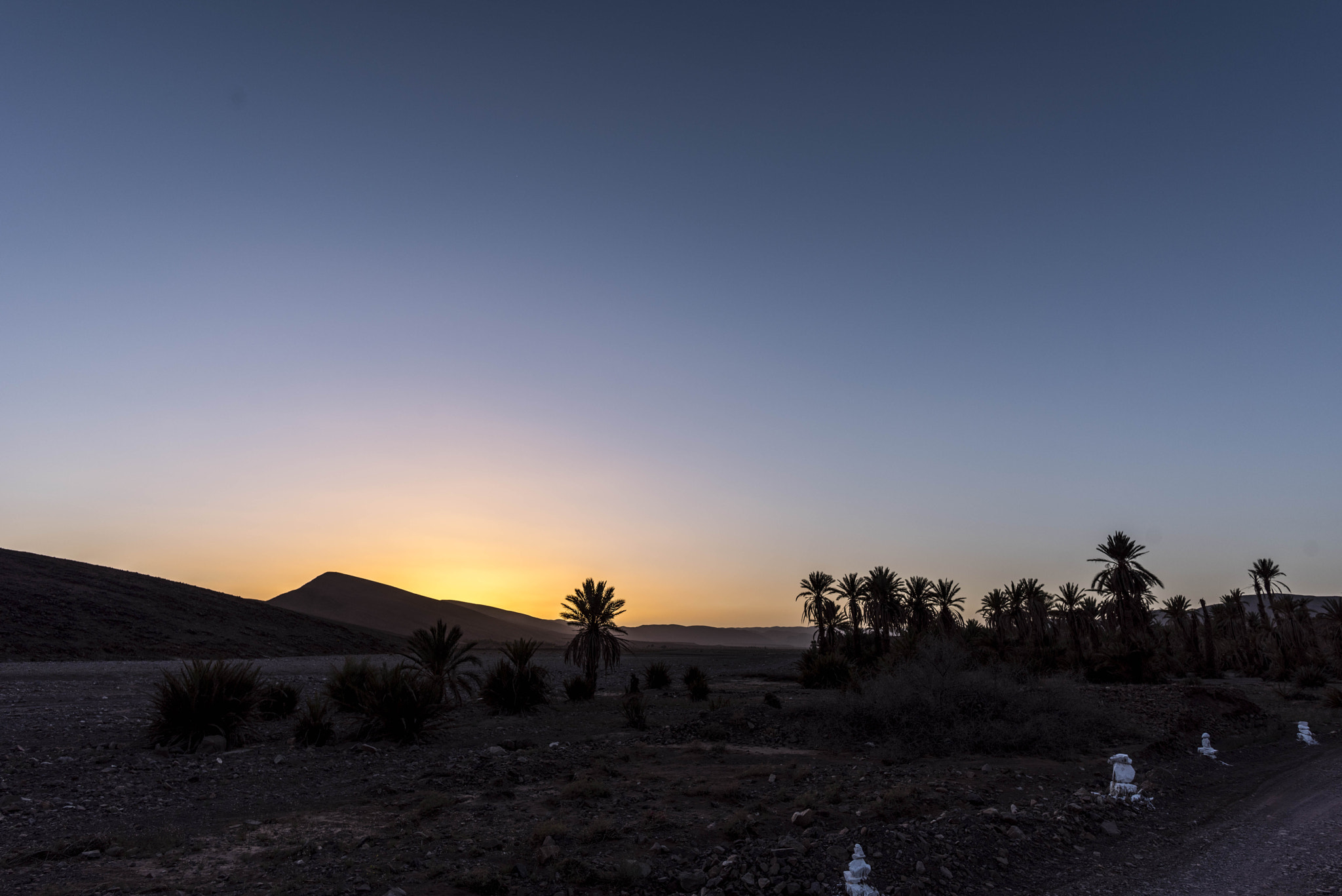 Nikon D810 + Nikon AF-S Nikkor 20mm F1.8G ED sample photo. Desert sunset photography