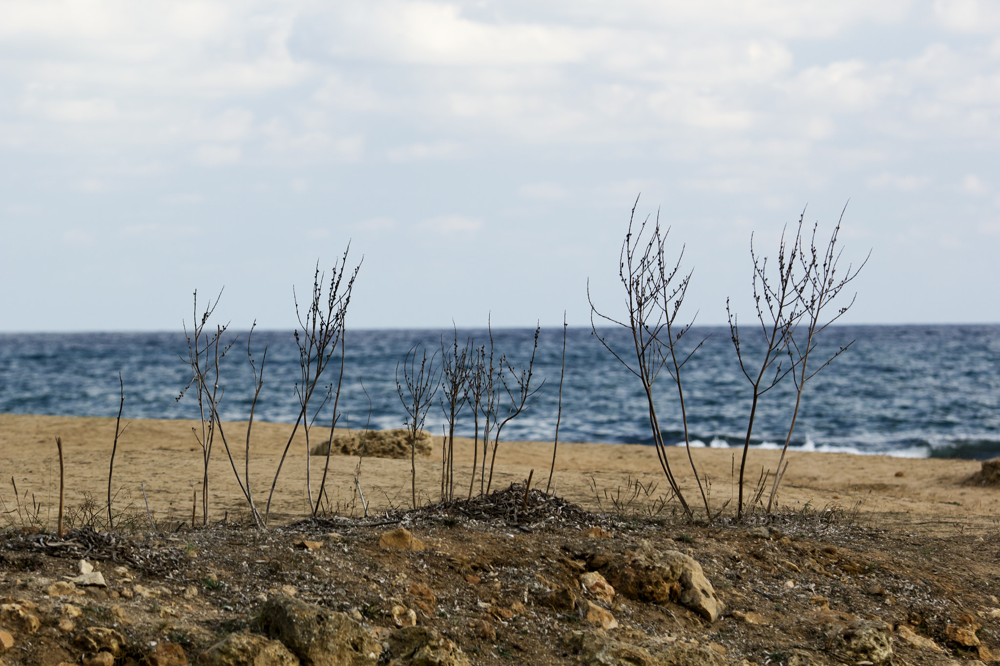 Canon EOS 60D sample photo. Majorca photography