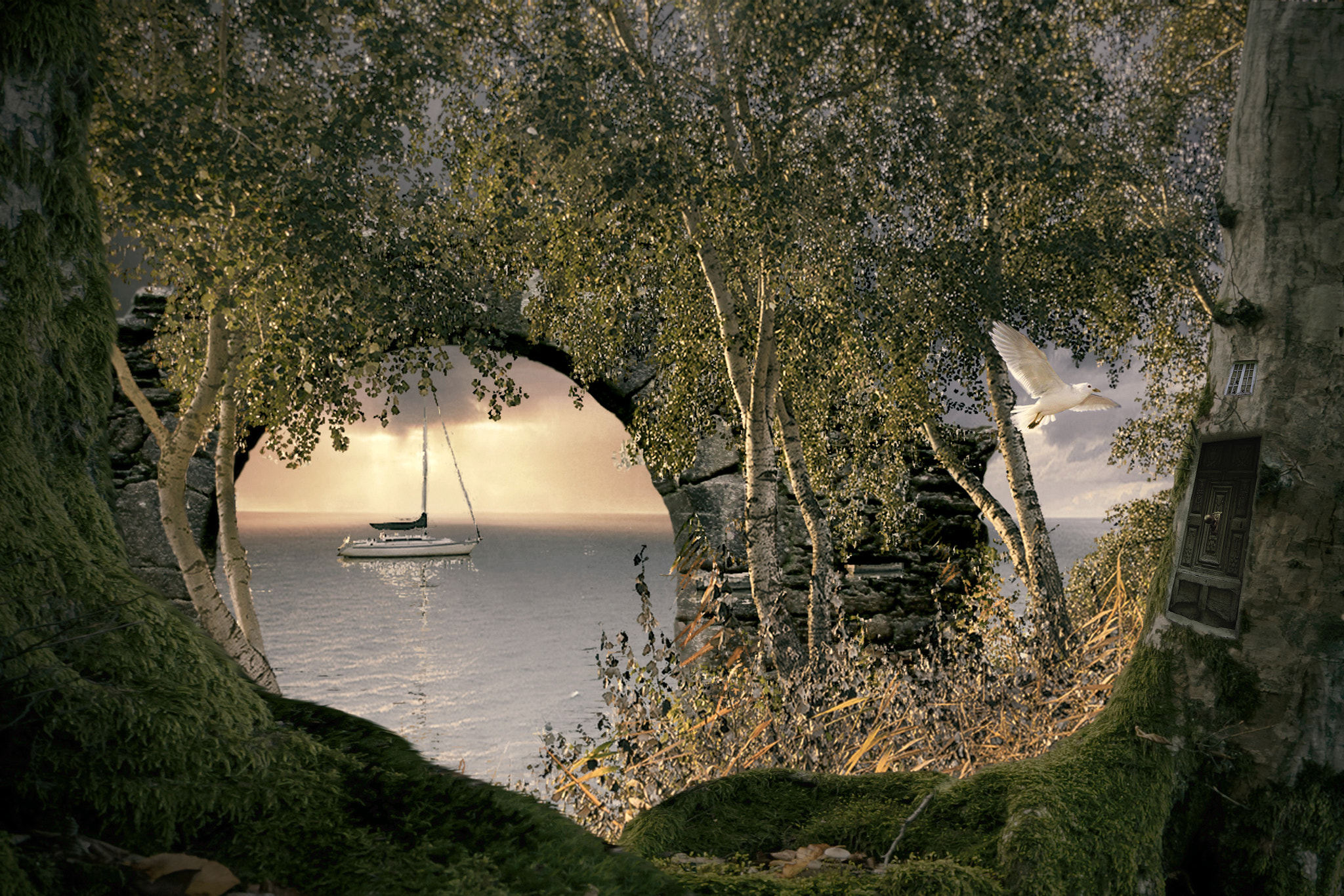 Canon EOS 550D (EOS Rebel T2i / EOS Kiss X4) sample photo. Velero arboles miguel photography