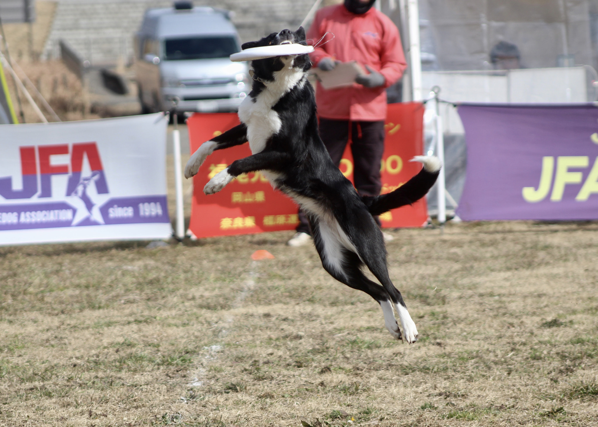 Canon EF 75-300mm f/4-5.6 USM sample photo. Nice catch photography