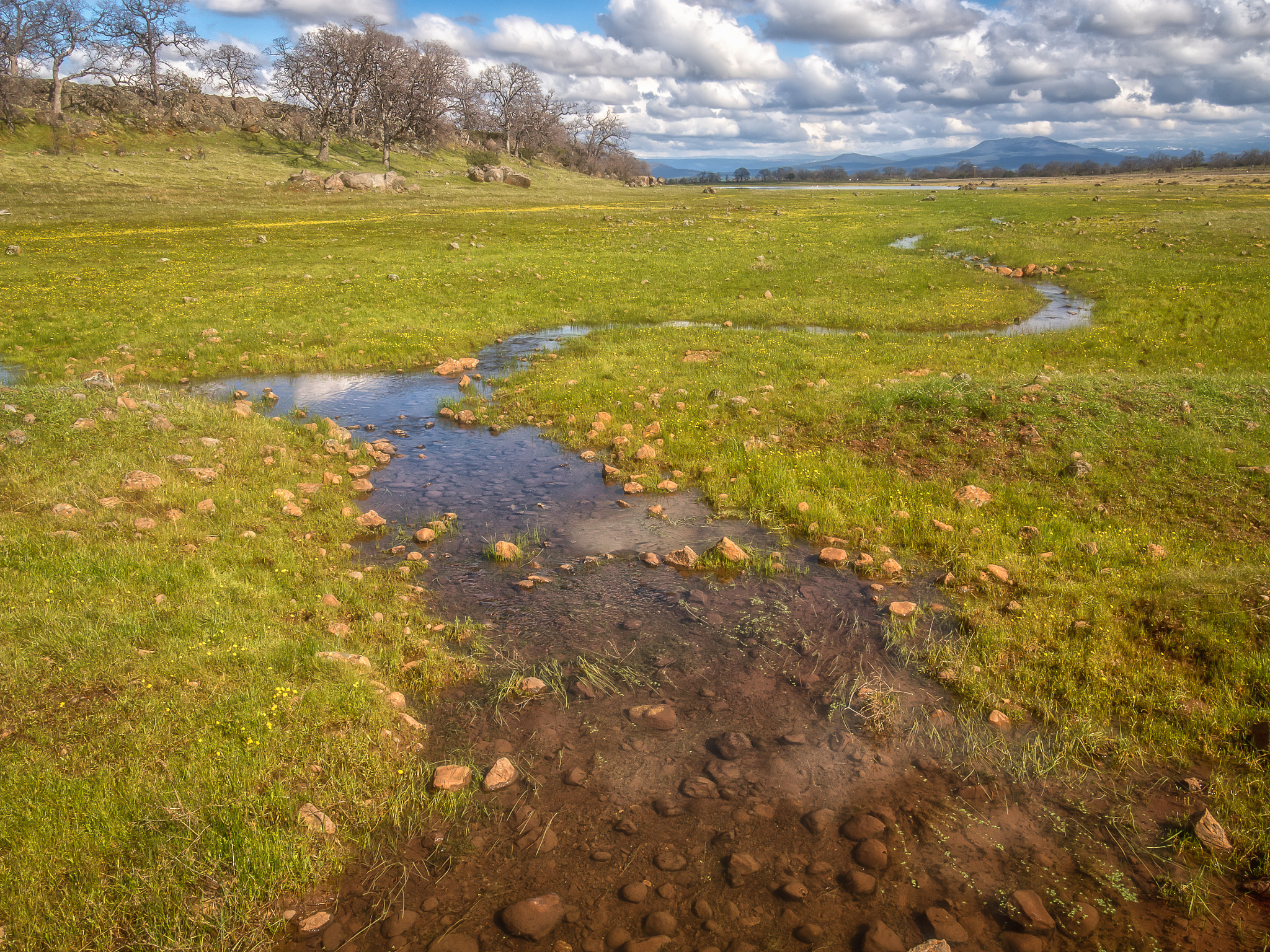 Olympus OM-D E-M5 II + Olympus M.Zuiko Digital ED 7-14mm F2.8 PRO sample photo. The path of least resistance photography