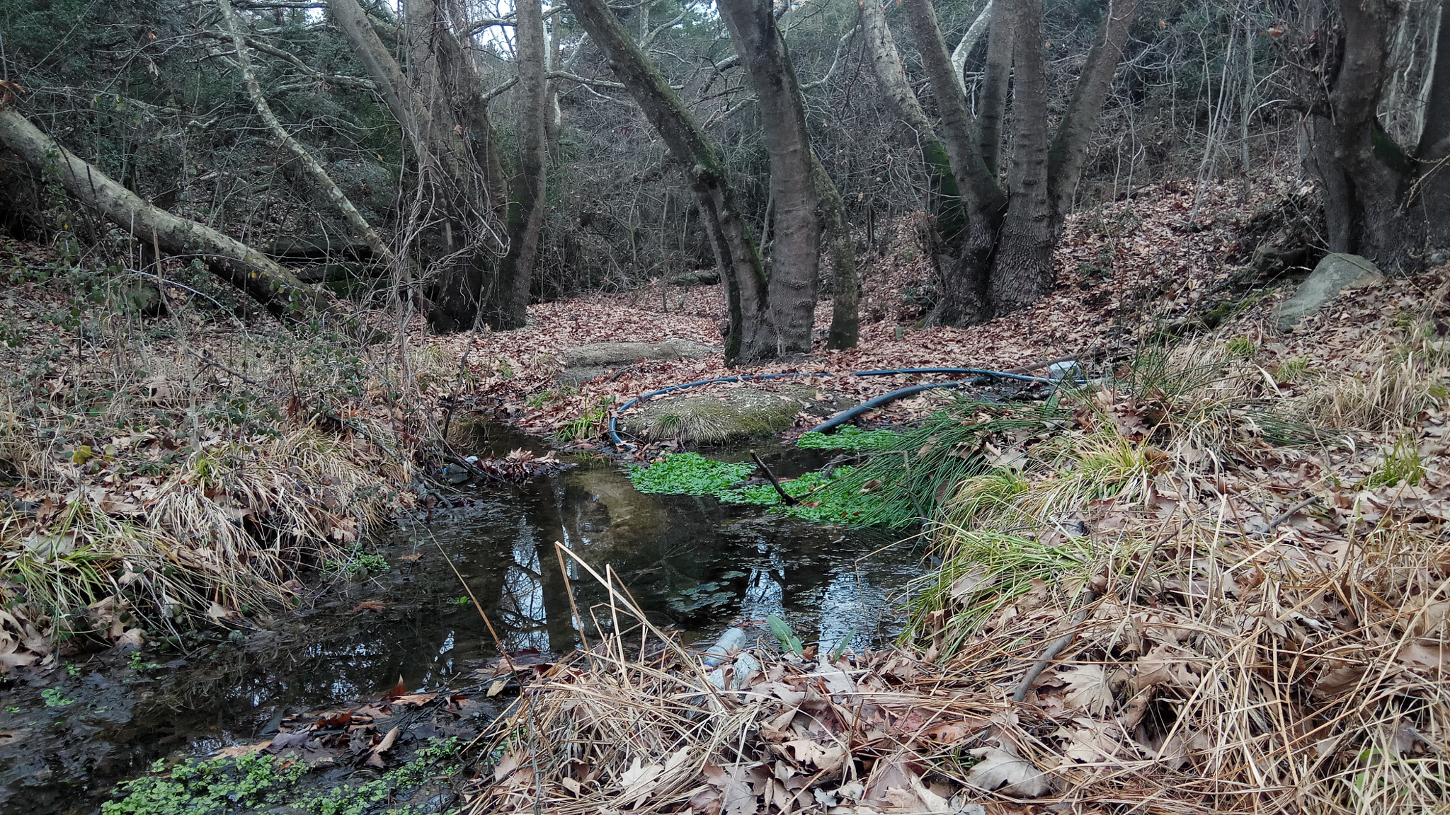 Xiaomi Redmi Pro sample photo. Kavala 4 photography