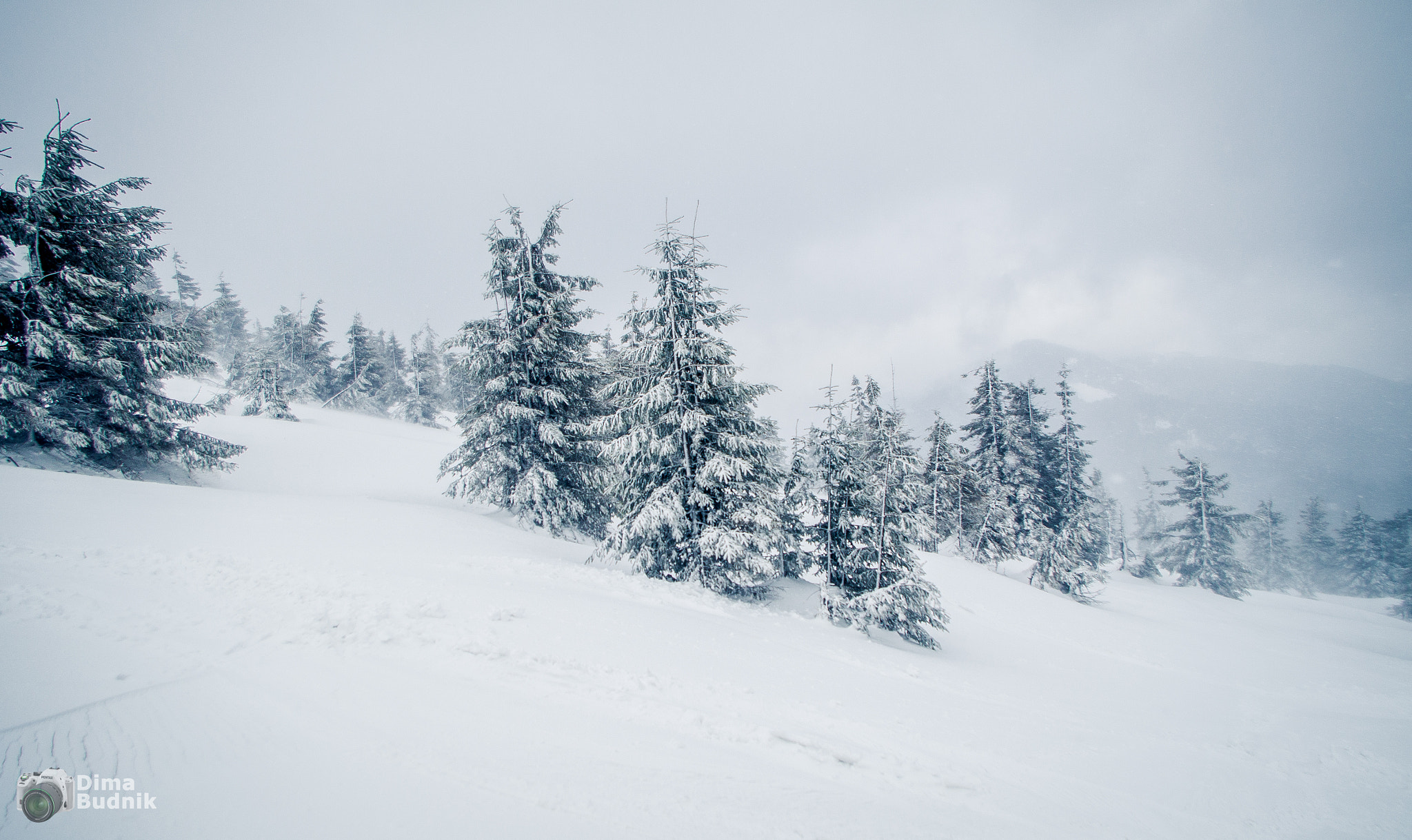 Pentax smc DA 18-55mm F3.5-5.6 AL WR sample photo. Winter forest photography