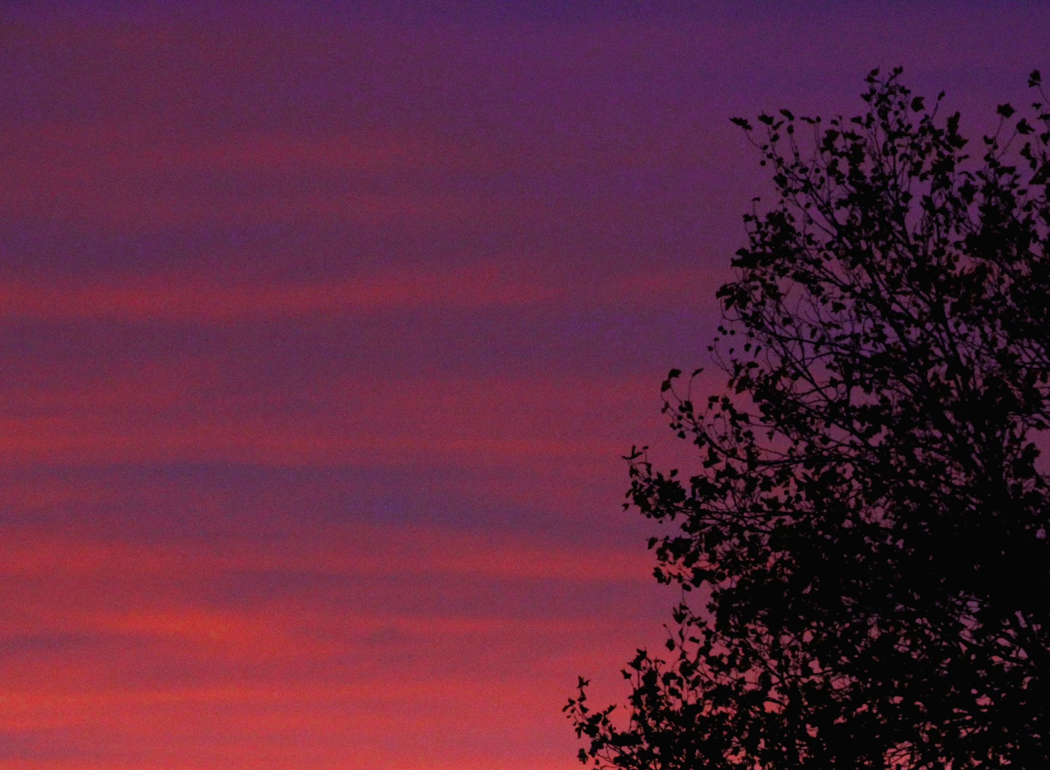 Canon EOS 60D sample photo. Winter sunset photography