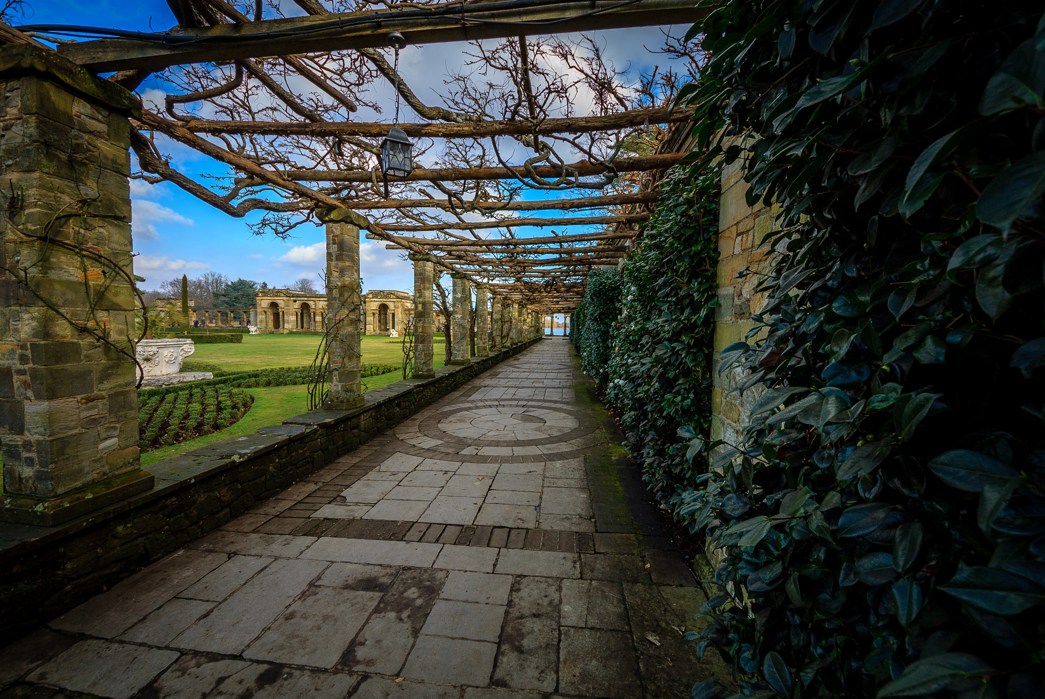 Sigma 8-16mm F4.5-5.6 DC HSM sample photo. Garden photography