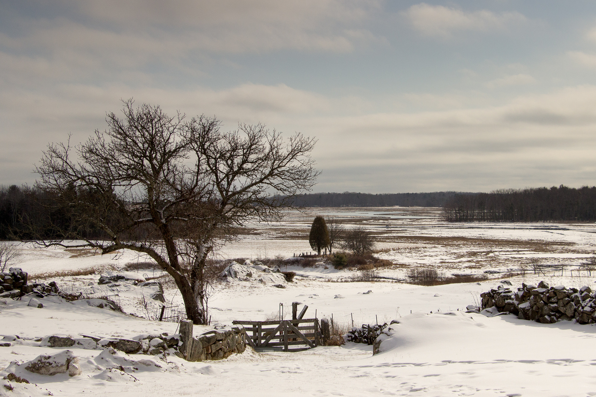 Canon EOS 600D (Rebel EOS T3i / EOS Kiss X5) sample photo. Brrrrr photography