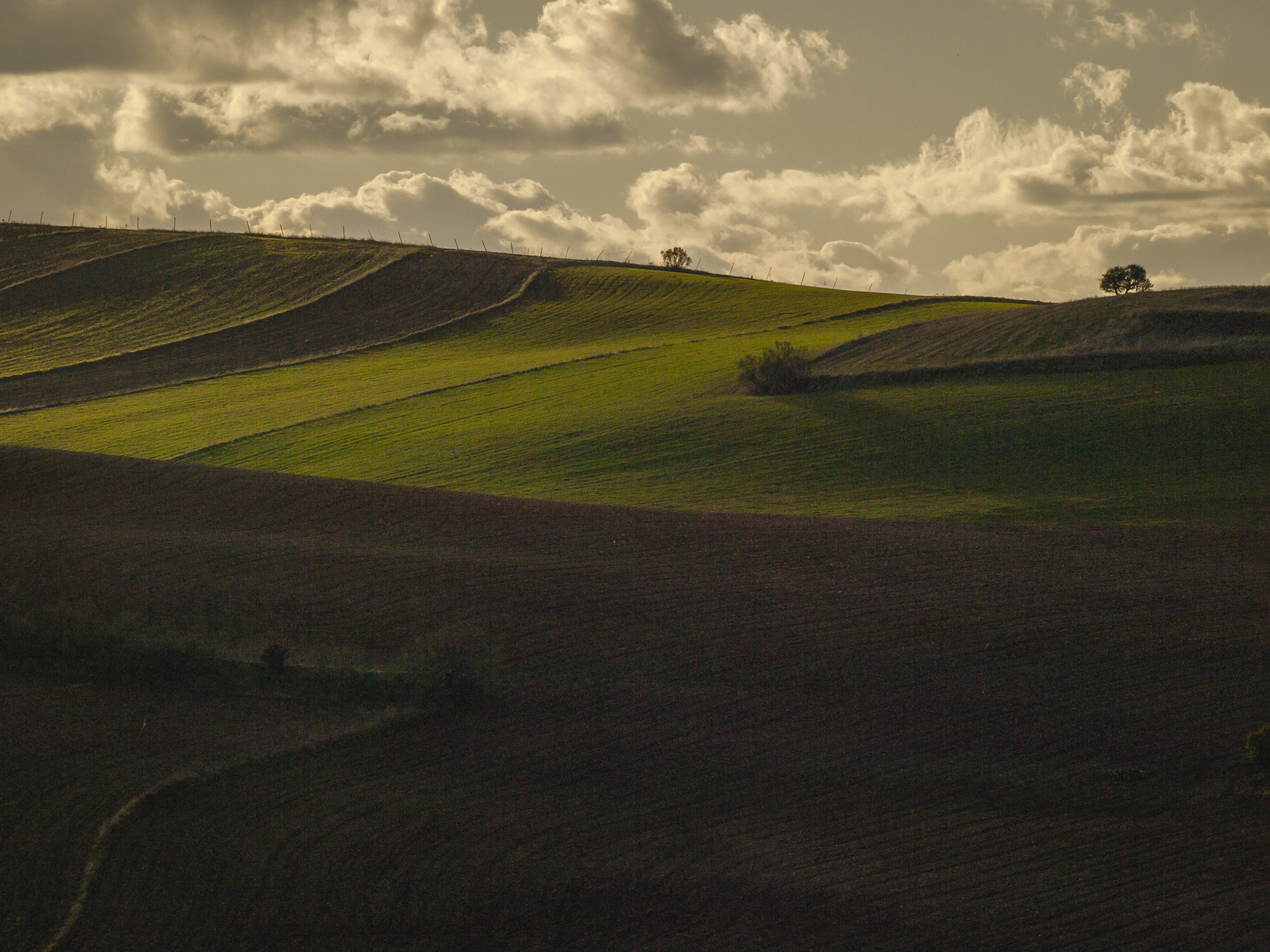 Olympus Zuiko Digital ED 70-300mm F4.0-5.6 sample photo. Luces y sombras.../lights and shadows photography