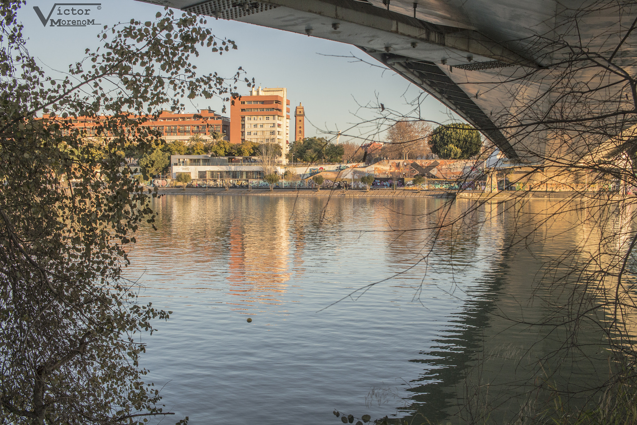 Canon EF-S 24mm F2.8 STM sample photo. Debajo del puente de la barqueta / under barqueta´s bridge photography