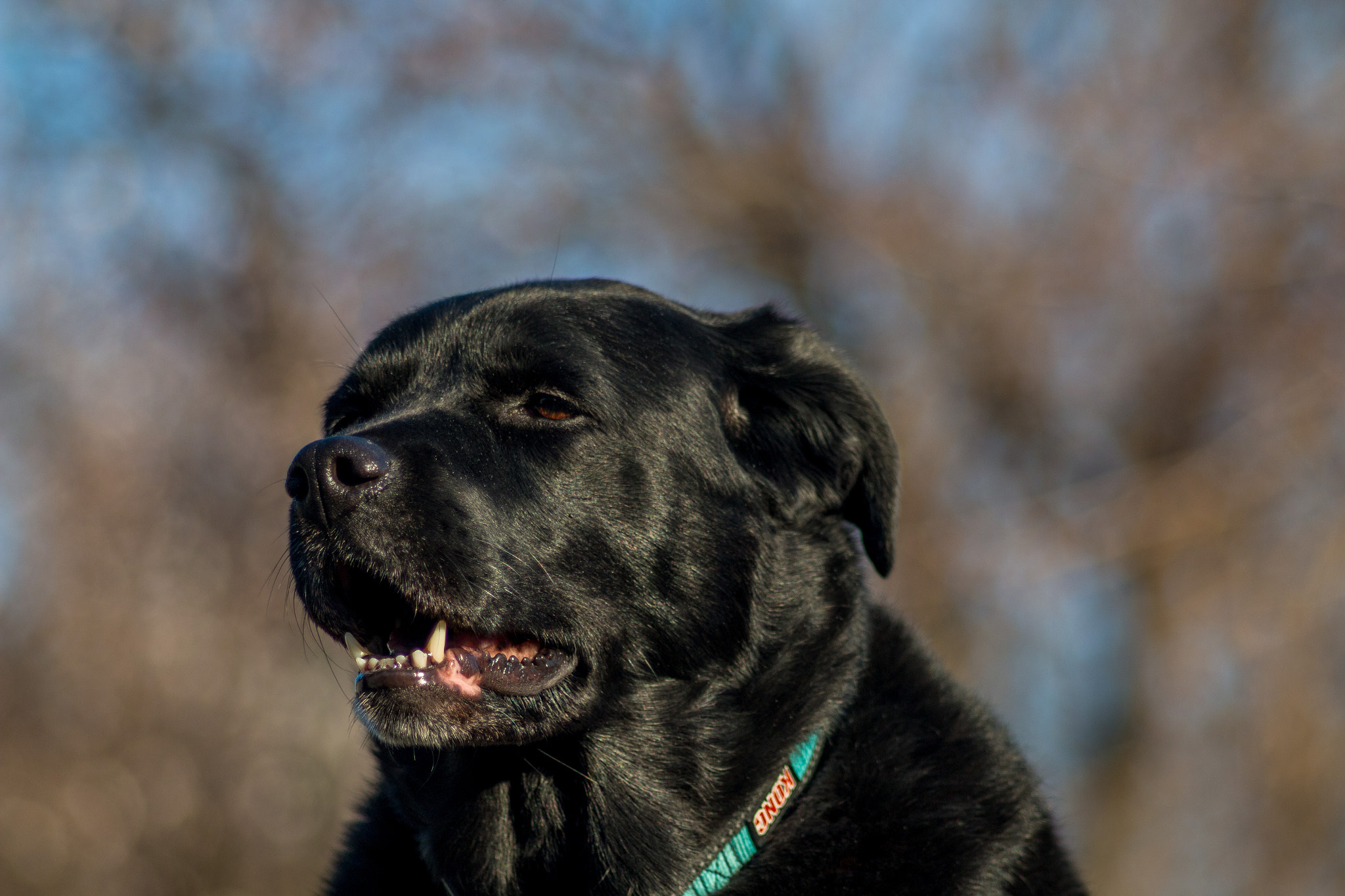 Canon EF 35-80mm f/4-5.6 sample photo. Zeiss biometar 80mm photography
