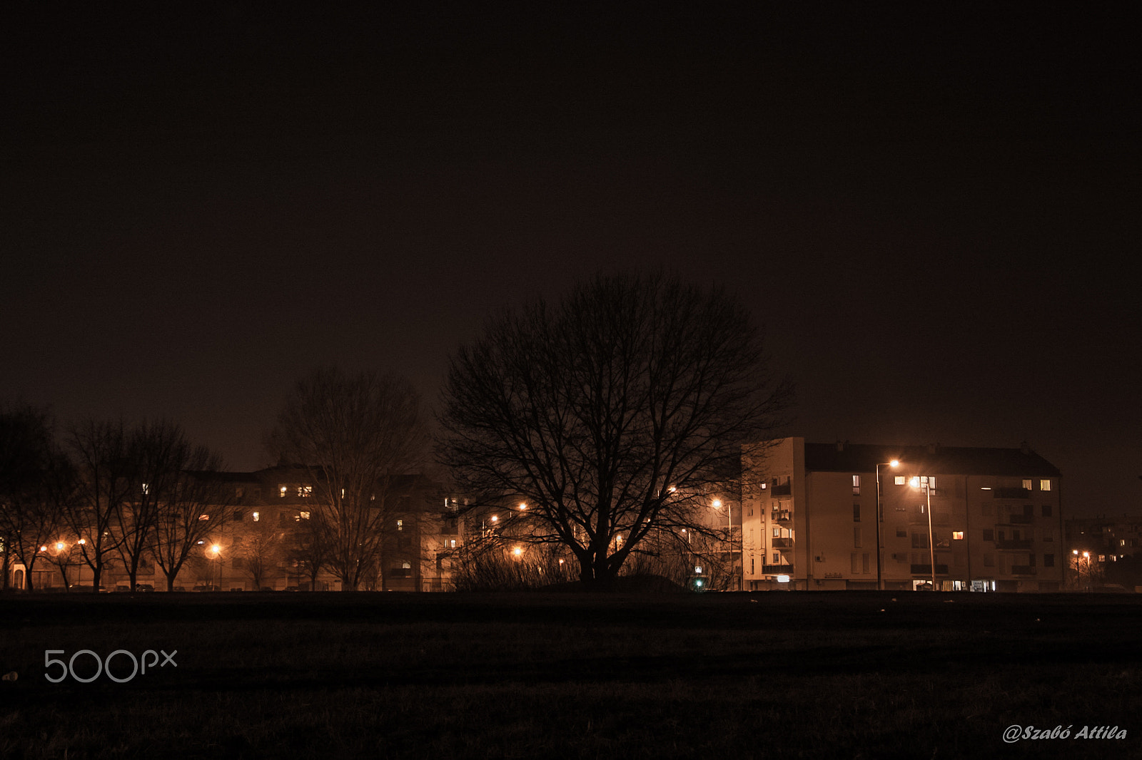 Nikon D70s sample photo. Tree in the centre. photography