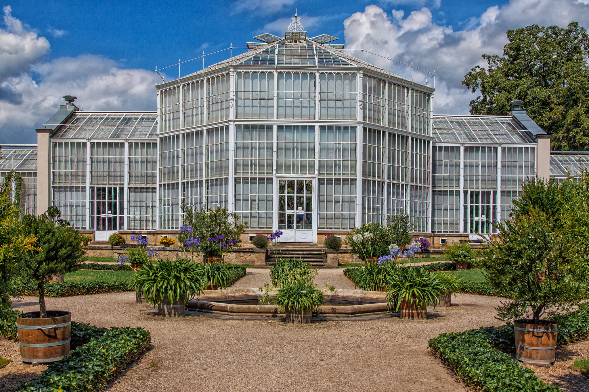 Canon EOS 50D + Sigma 17-70mm F2.8-4 DC Macro OS HSM sample photo. Palmenhaus photography