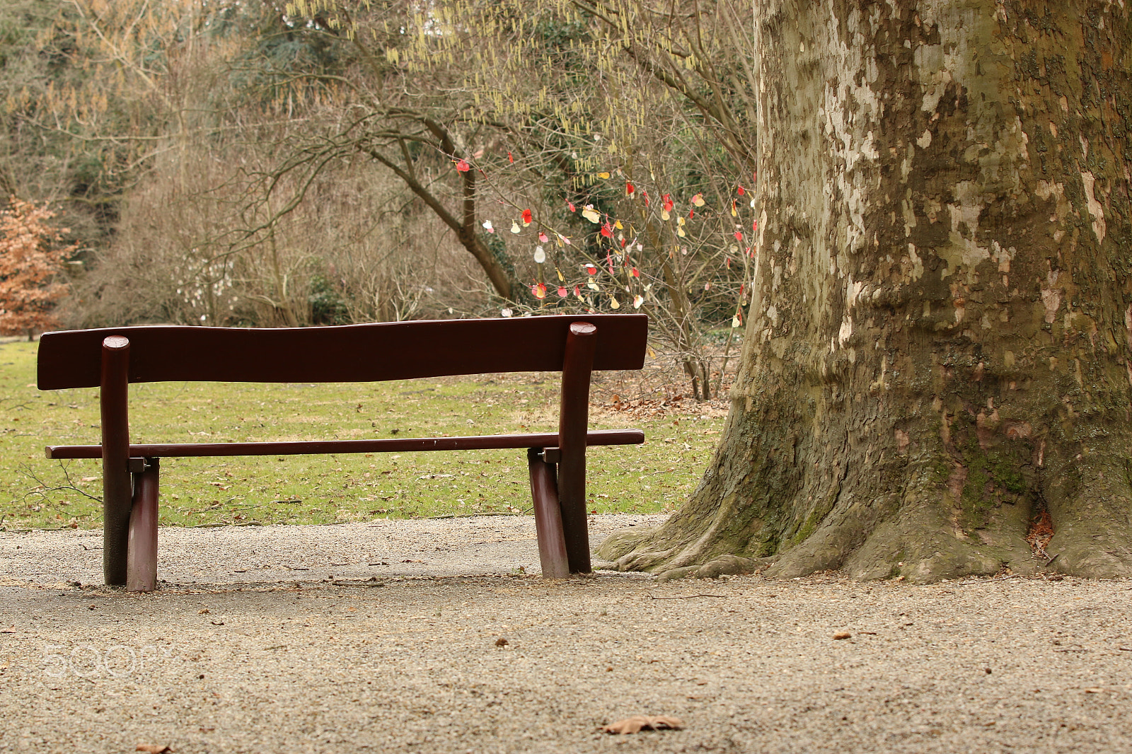 Canon EF 70-200mm F2.8L IS II USM sample photo. Relax photography