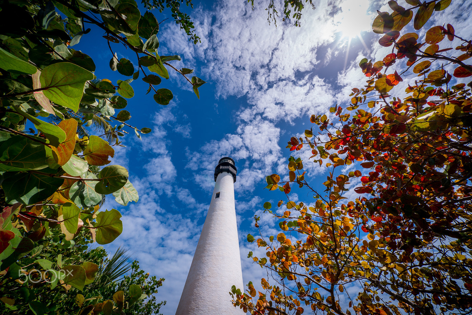 Voigtlander HELIAR-HYPER WIDE 10mm F5.6 sample photo. Lighthouse by the trees photography