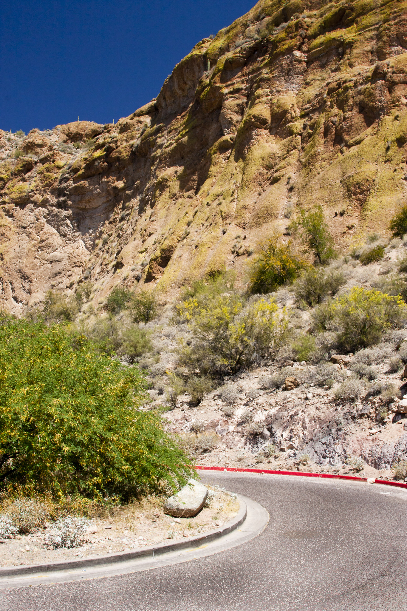 Canon EOS 40D + Canon EF 24-105mm F4L IS USM sample photo. Road through the arizona desert photography