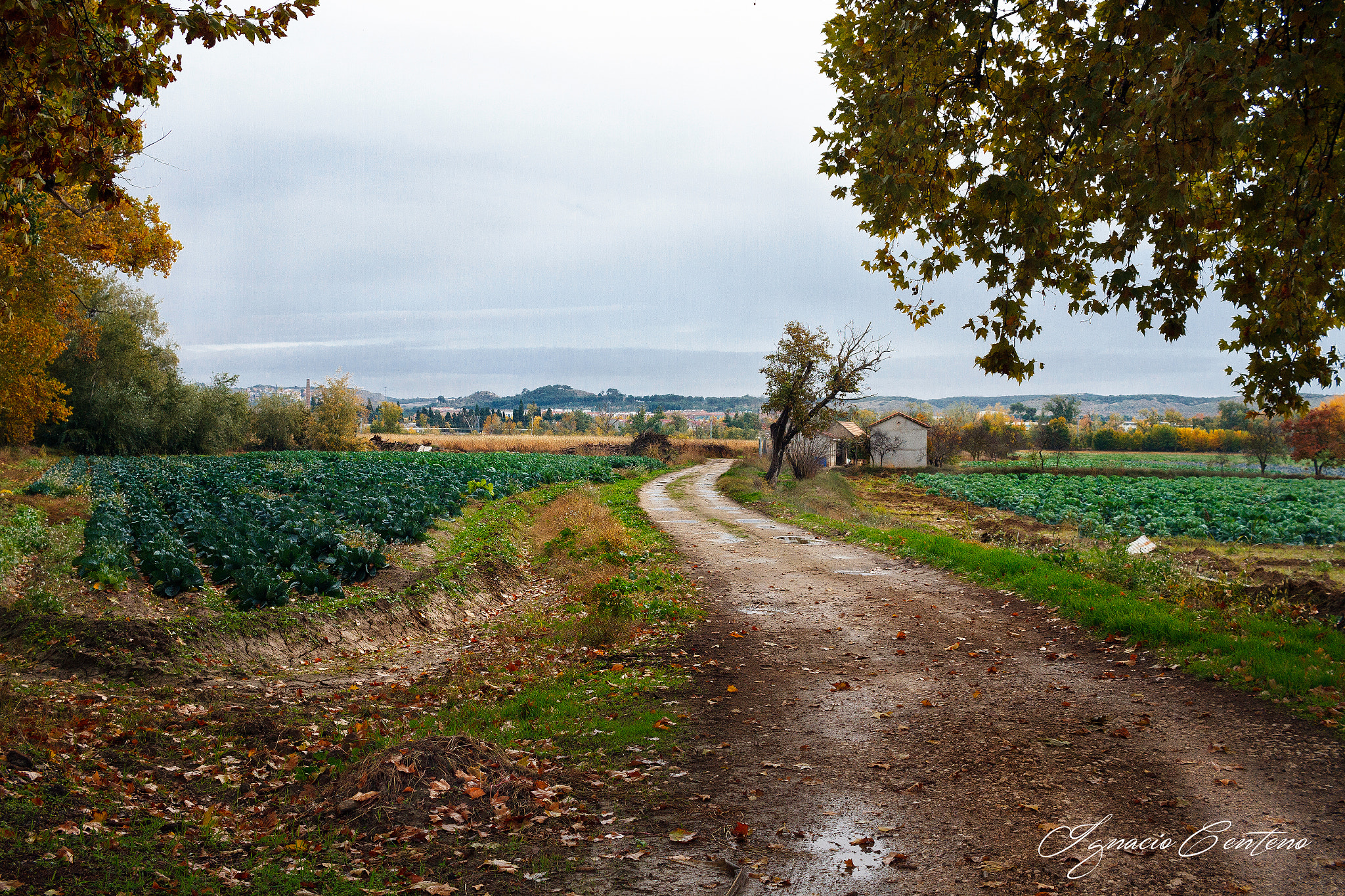 Canon EF-S 24mm F2.8 STM sample photo