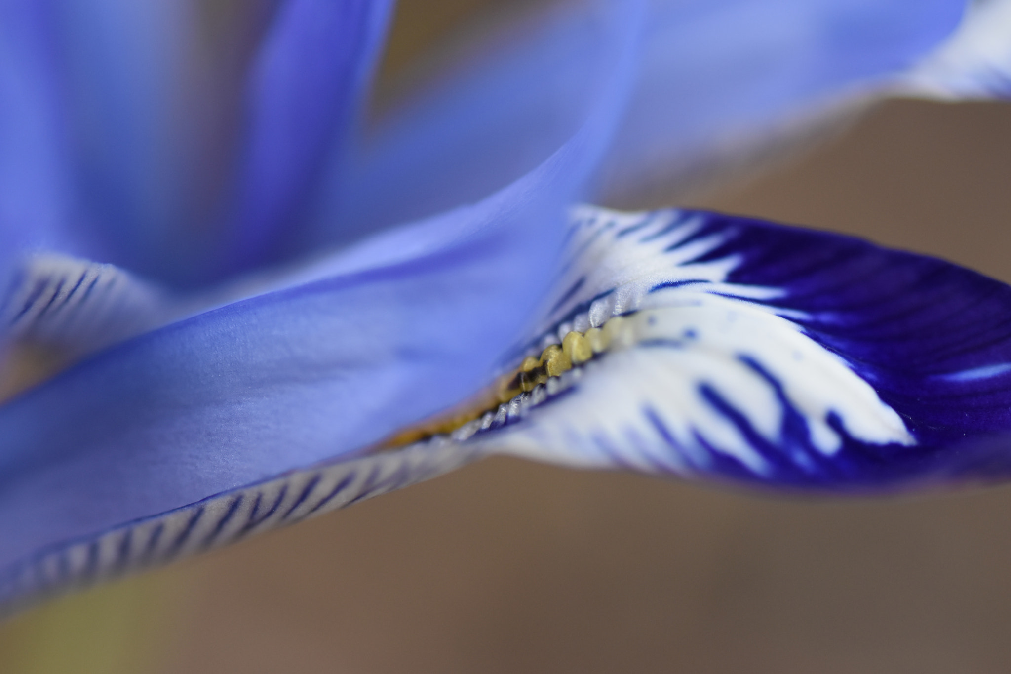 Nikon D5500 sample photo. Inside photography