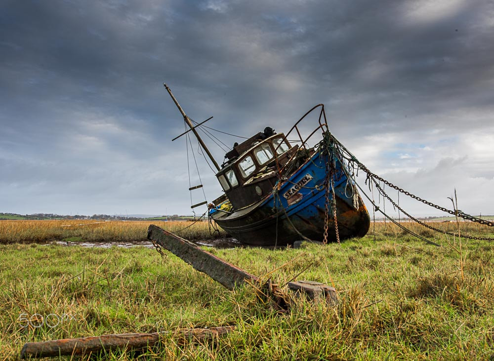 Nikon D810 + Nikon AF-S Nikkor 20mm F1.8G ED sample photo. Seagul wreck sunderland point photography